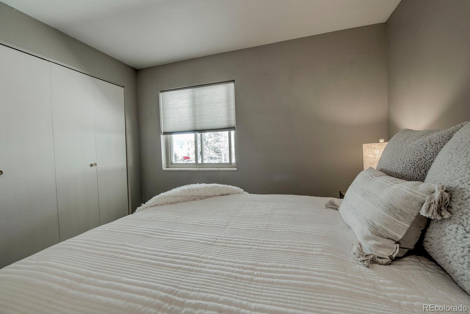 MLS Image #17 for 370 e la bonte street,dillon, Colorado