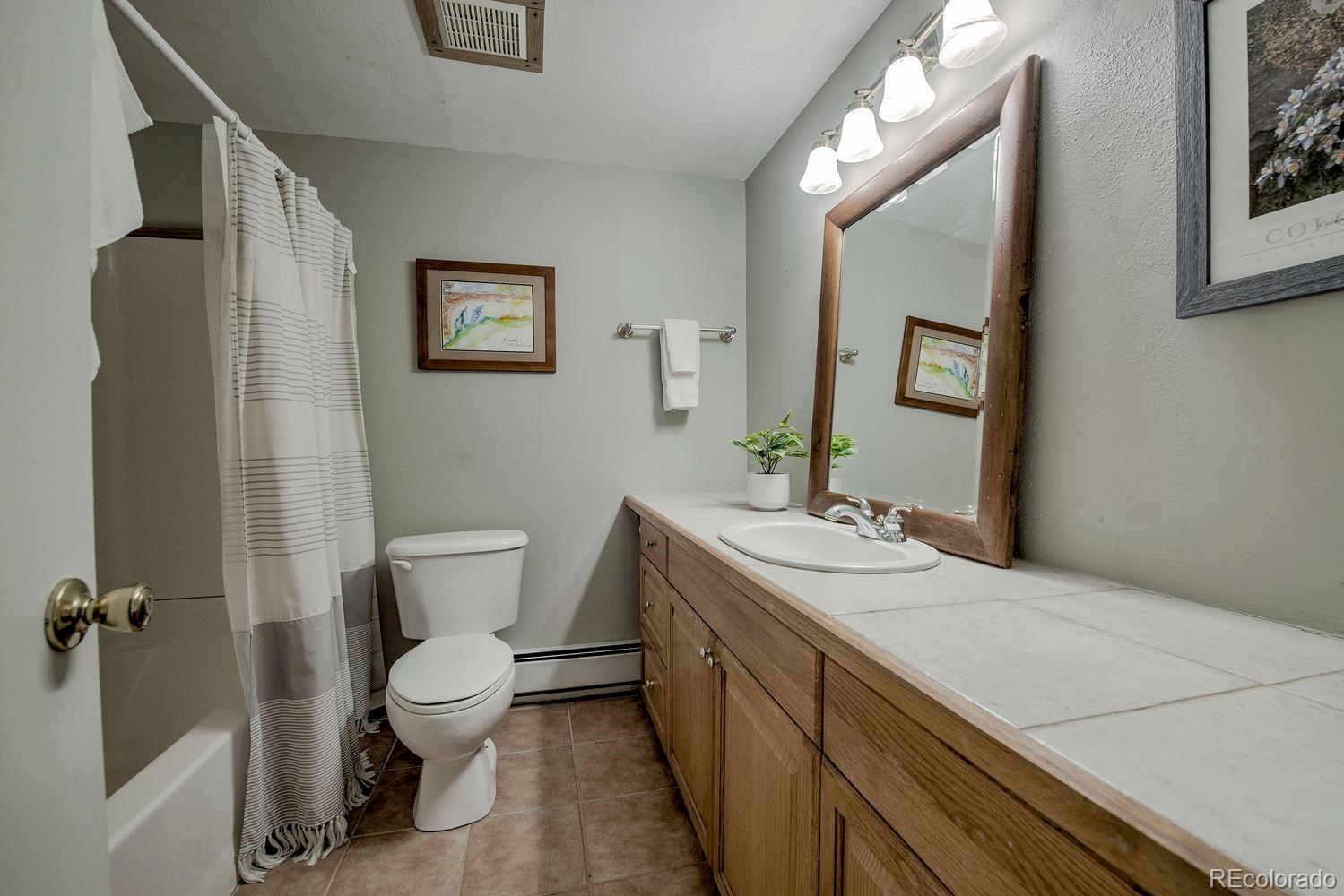 MLS Image #18 for 370 e la bonte street,dillon, Colorado