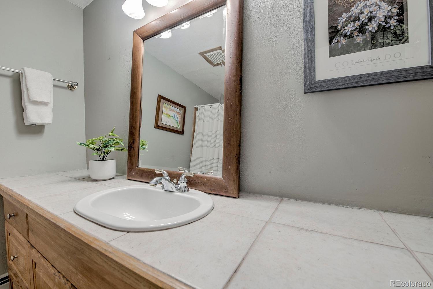 MLS Image #19 for 370 e la bonte street,dillon, Colorado