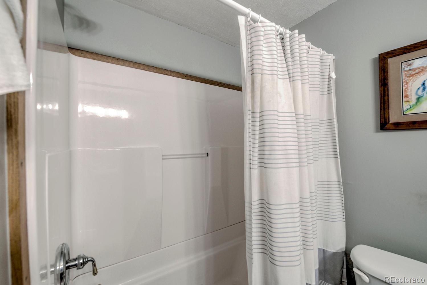 MLS Image #20 for 370 e la bonte street,dillon, Colorado