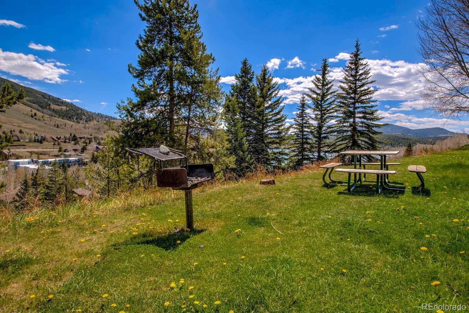 MLS Image #28 for 370 e la bonte street,dillon, Colorado