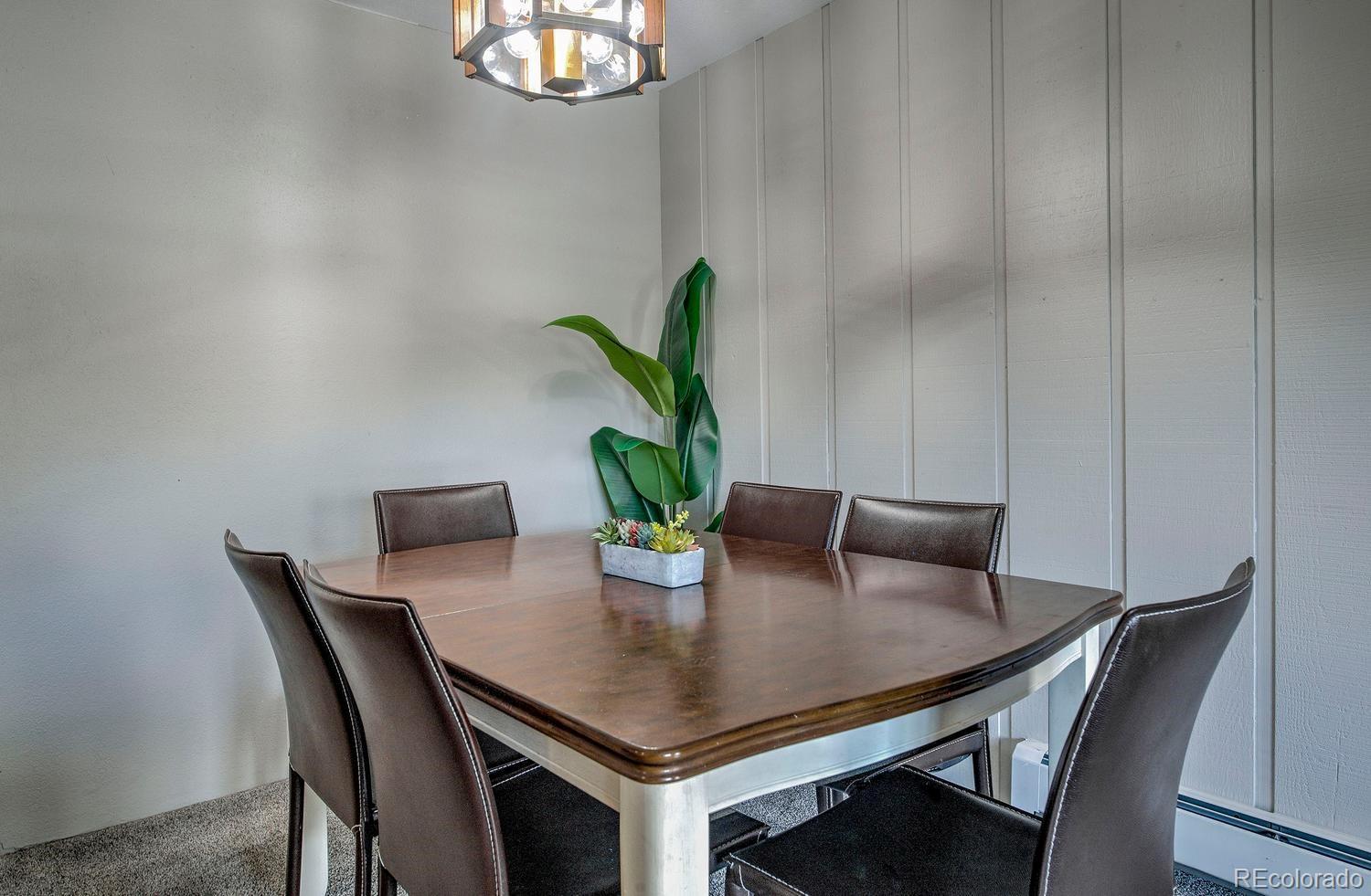 MLS Image #5 for 370 e la bonte street,dillon, Colorado
