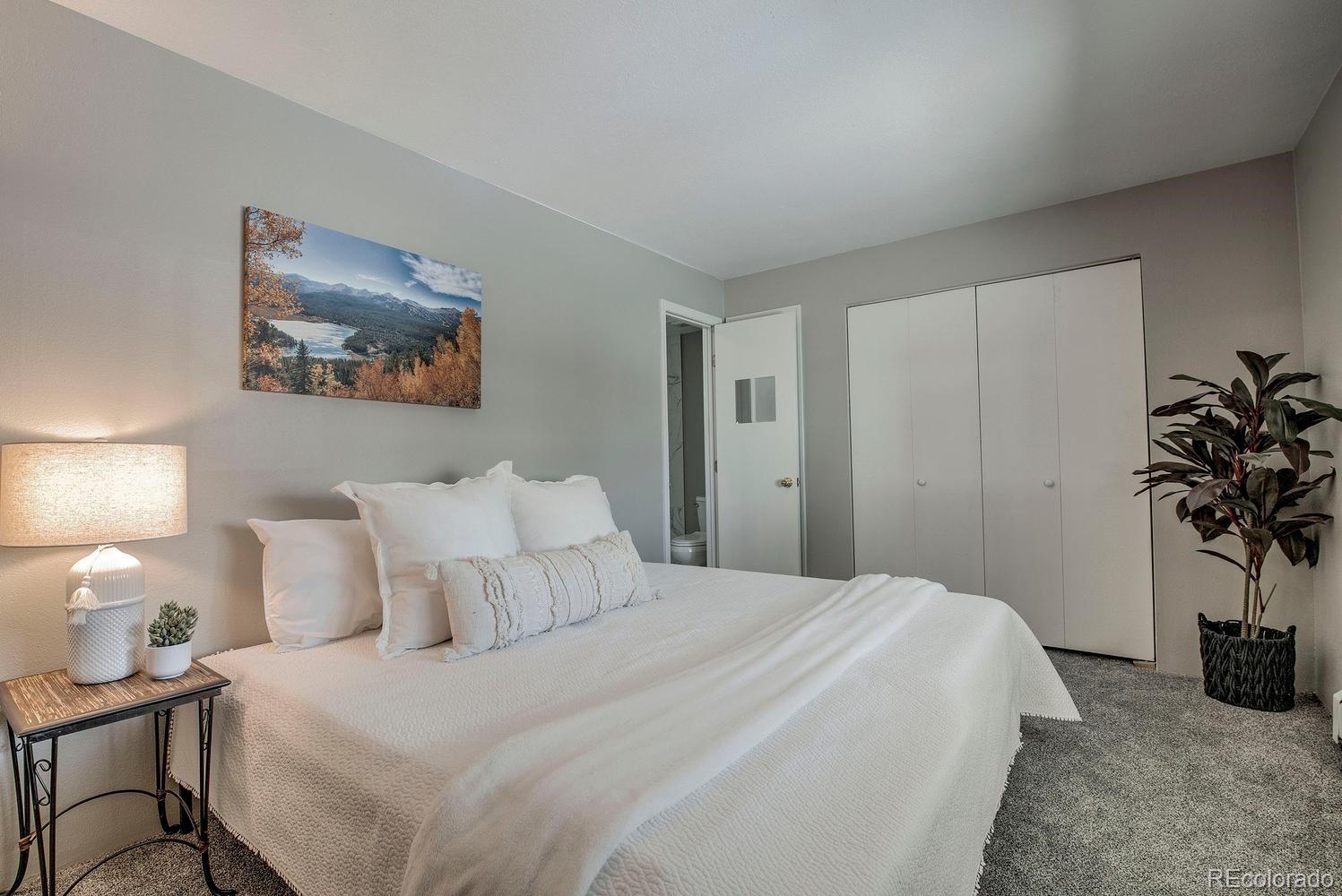 MLS Image #9 for 370 e la bonte street,dillon, Colorado