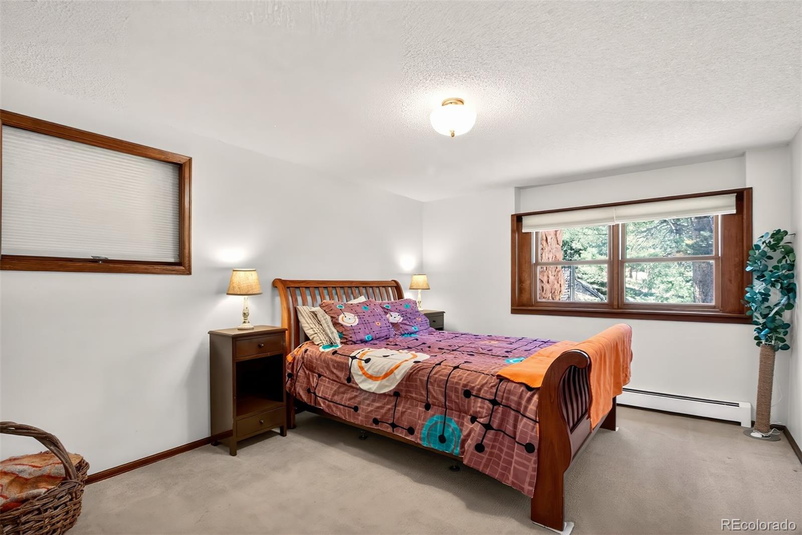 MLS Image #23 for 55  ponderosa lane,woodland park, Colorado