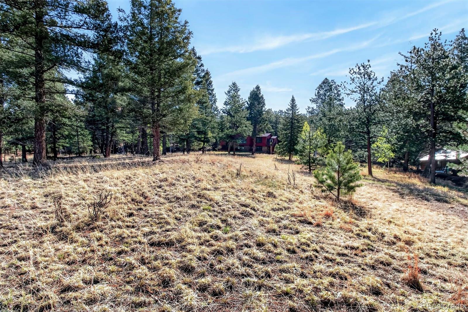 MLS Image #40 for 55  ponderosa lane,woodland park, Colorado