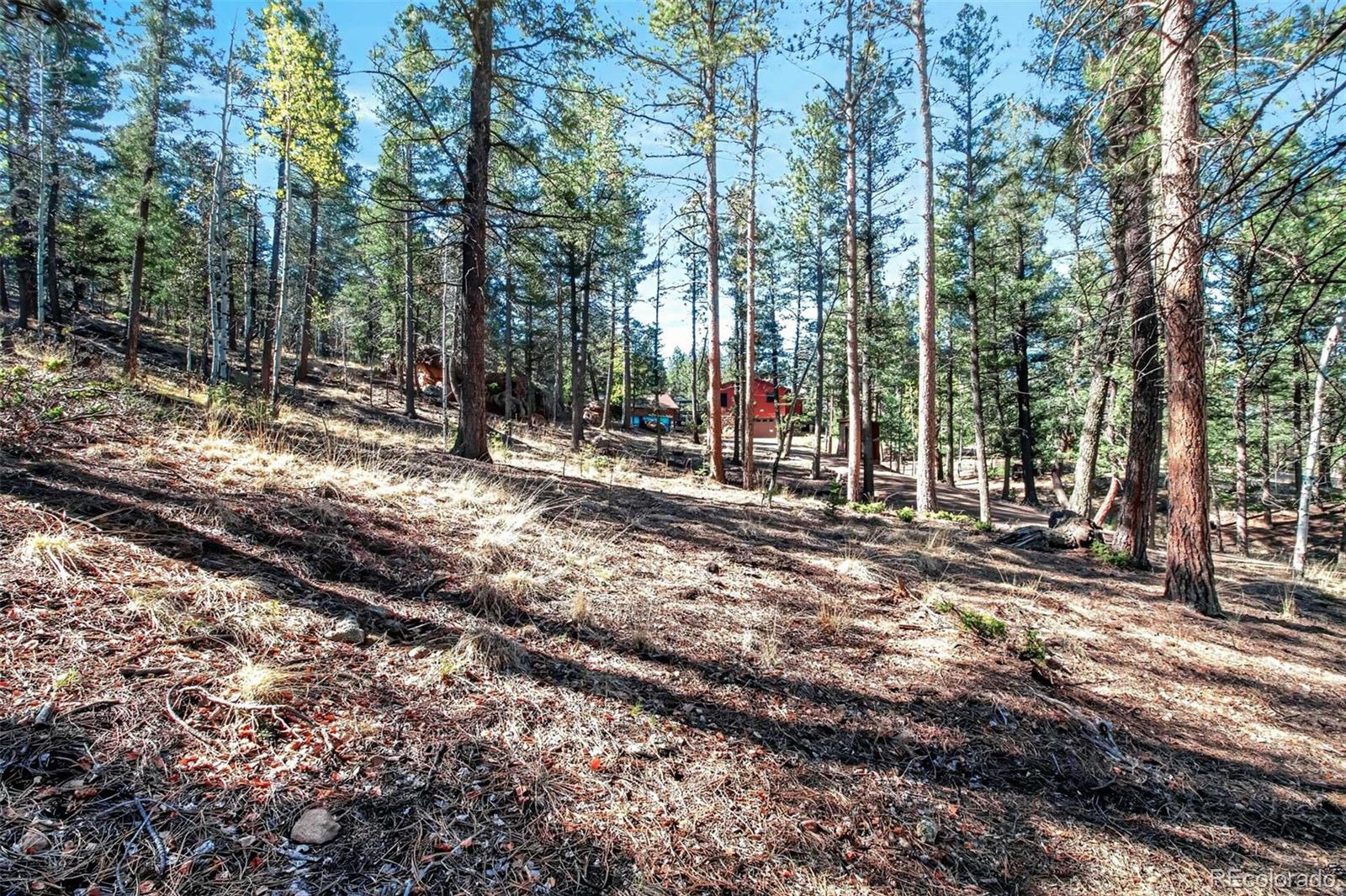 MLS Image #45 for 55  ponderosa lane,woodland park, Colorado