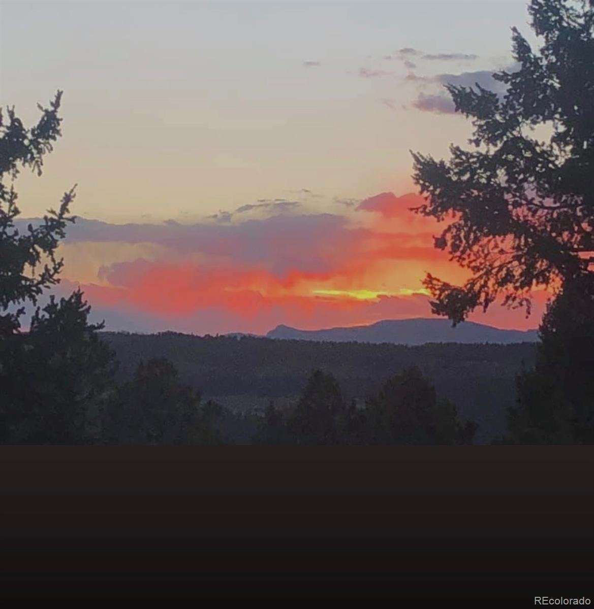 MLS Image #47 for 55  ponderosa lane,woodland park, Colorado