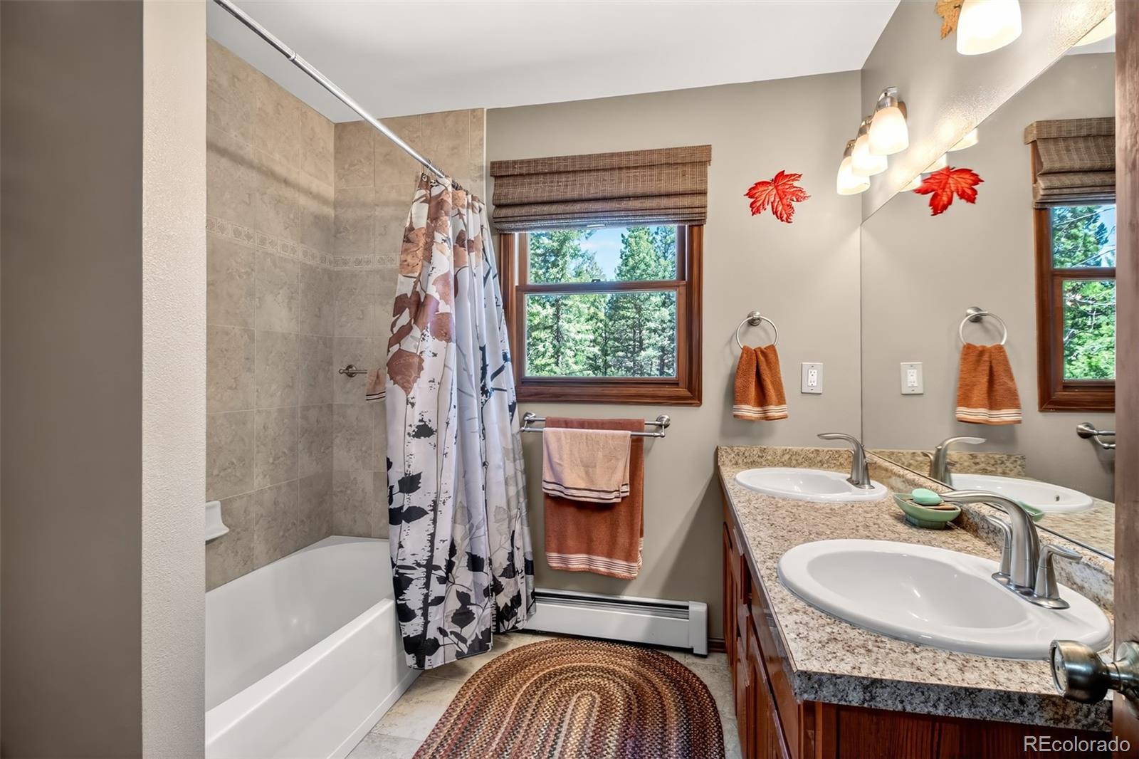 MLS Image #8 for 55  ponderosa lane,woodland park, Colorado