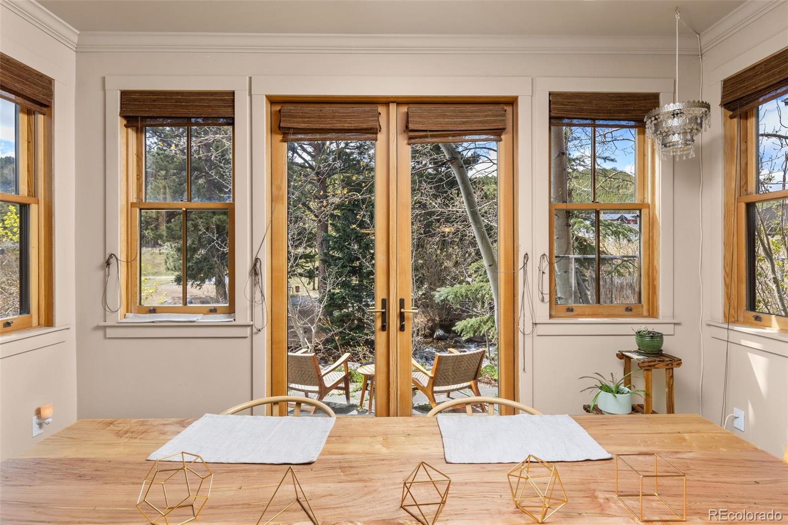 MLS Image #19 for 154 e 1st street,nederland, Colorado
