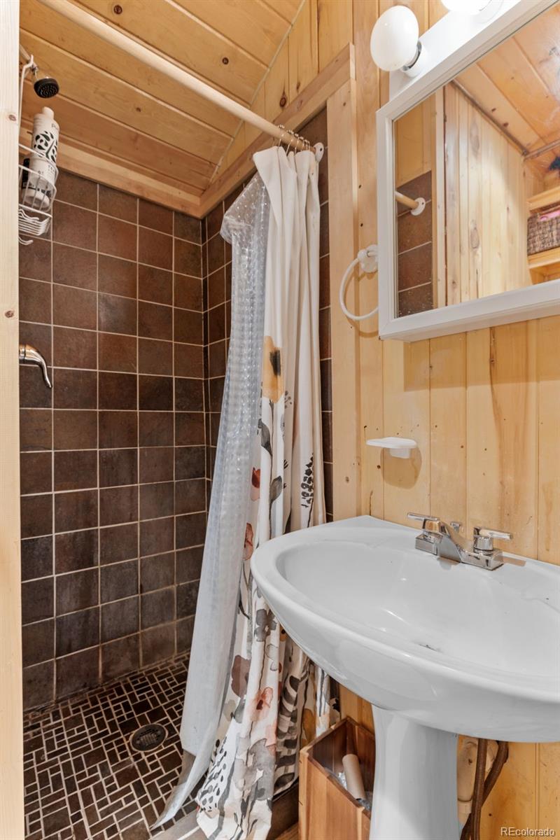 MLS Image #41 for 154 e 1st street,nederland, Colorado