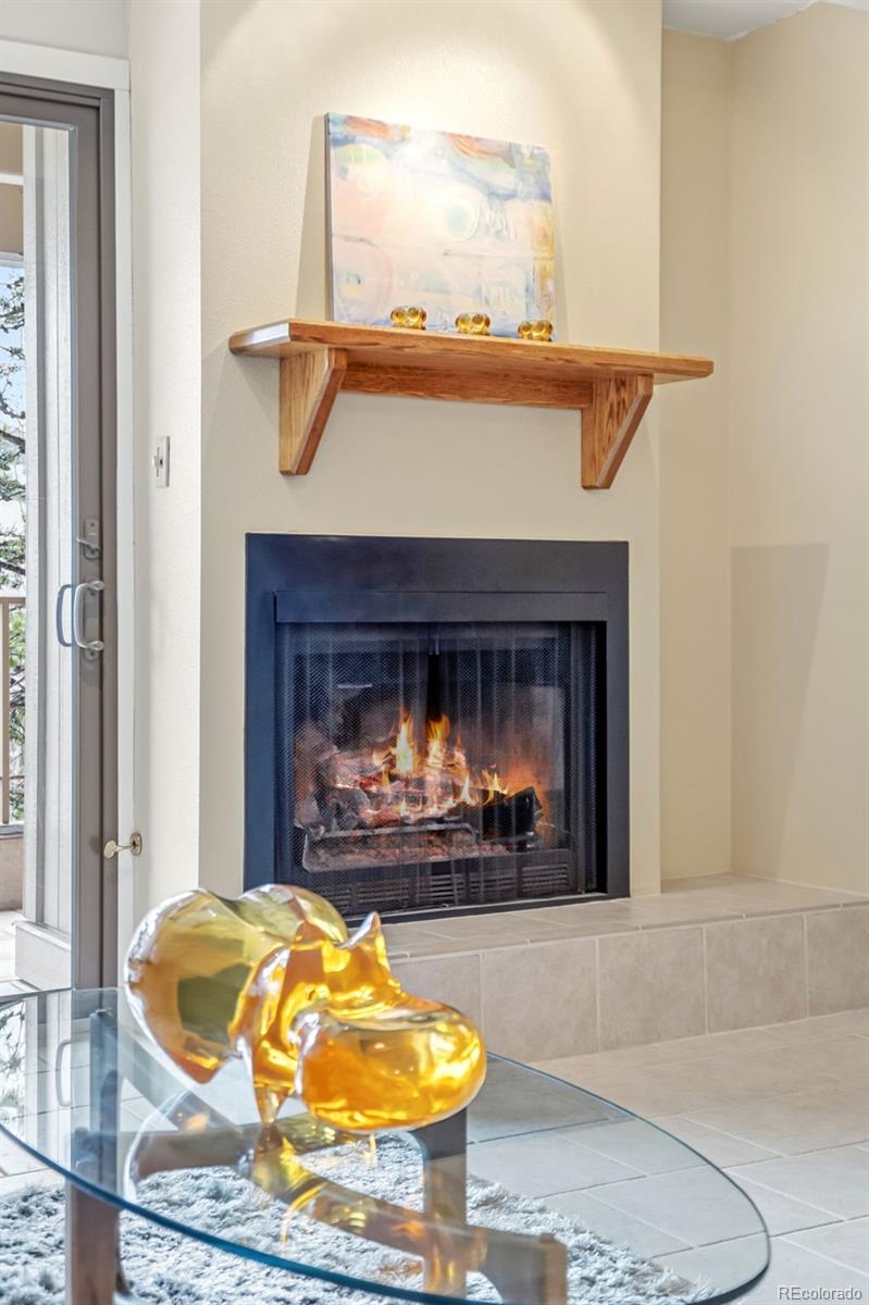 MLS Image #4 for 220 e la bonte street,dillon, Colorado