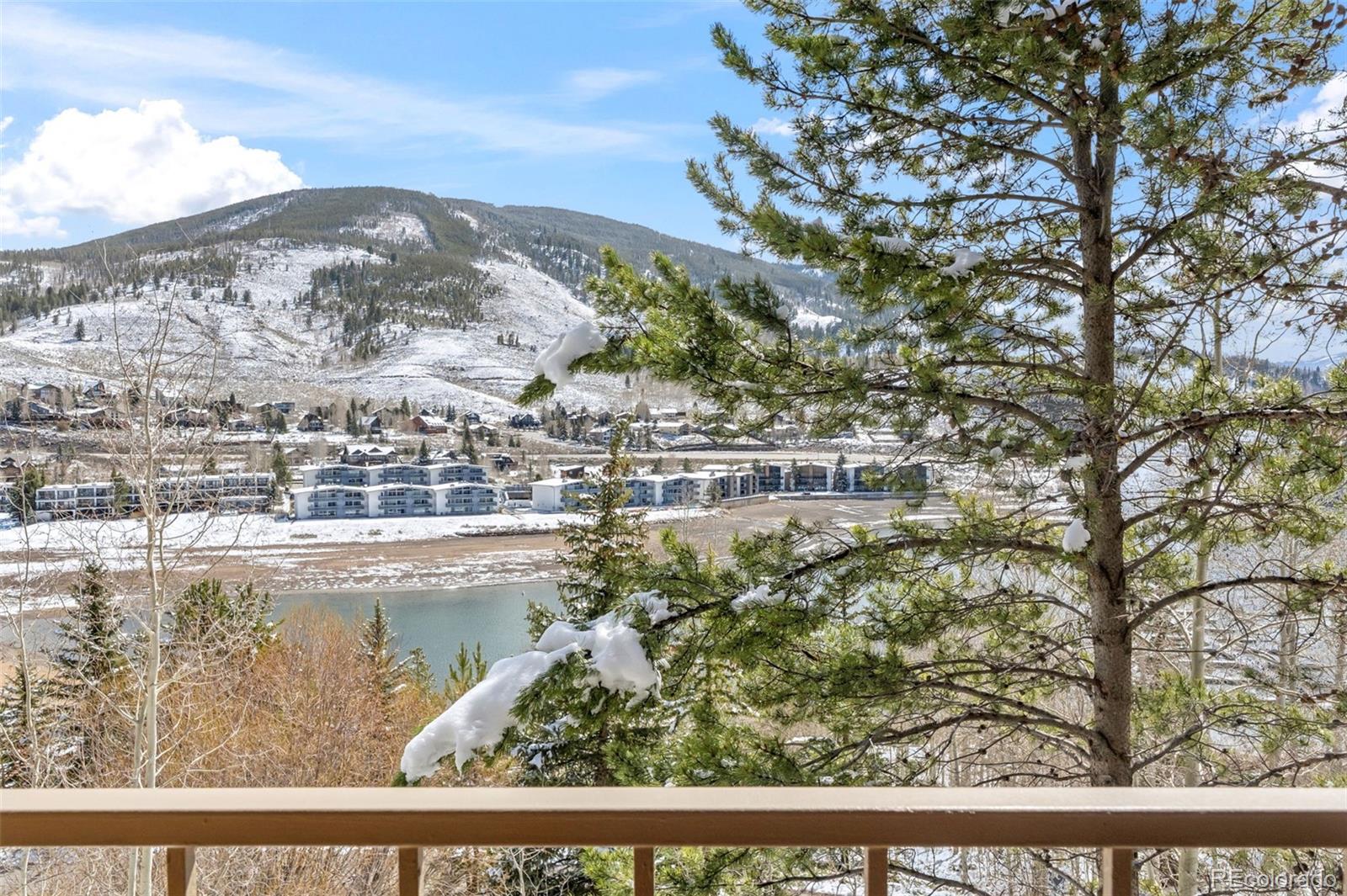 MLS Image #7 for 220 e la bonte street,dillon, Colorado