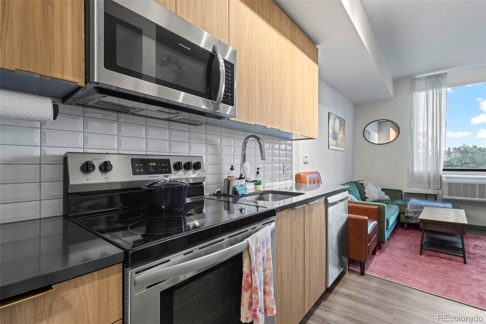 MLS Image #6 for 603  inca street 311,denver, Colorado