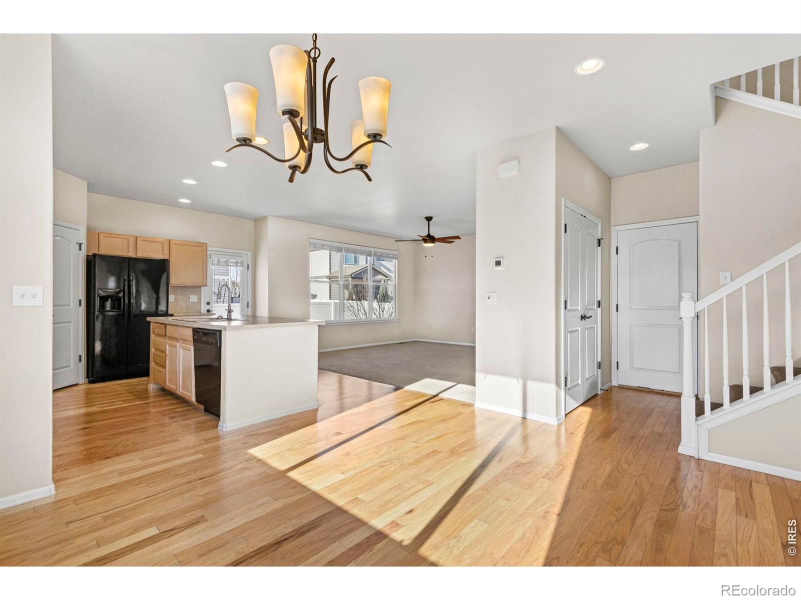 MLS Image #5 for 431  ptarmigan street,severance, Colorado