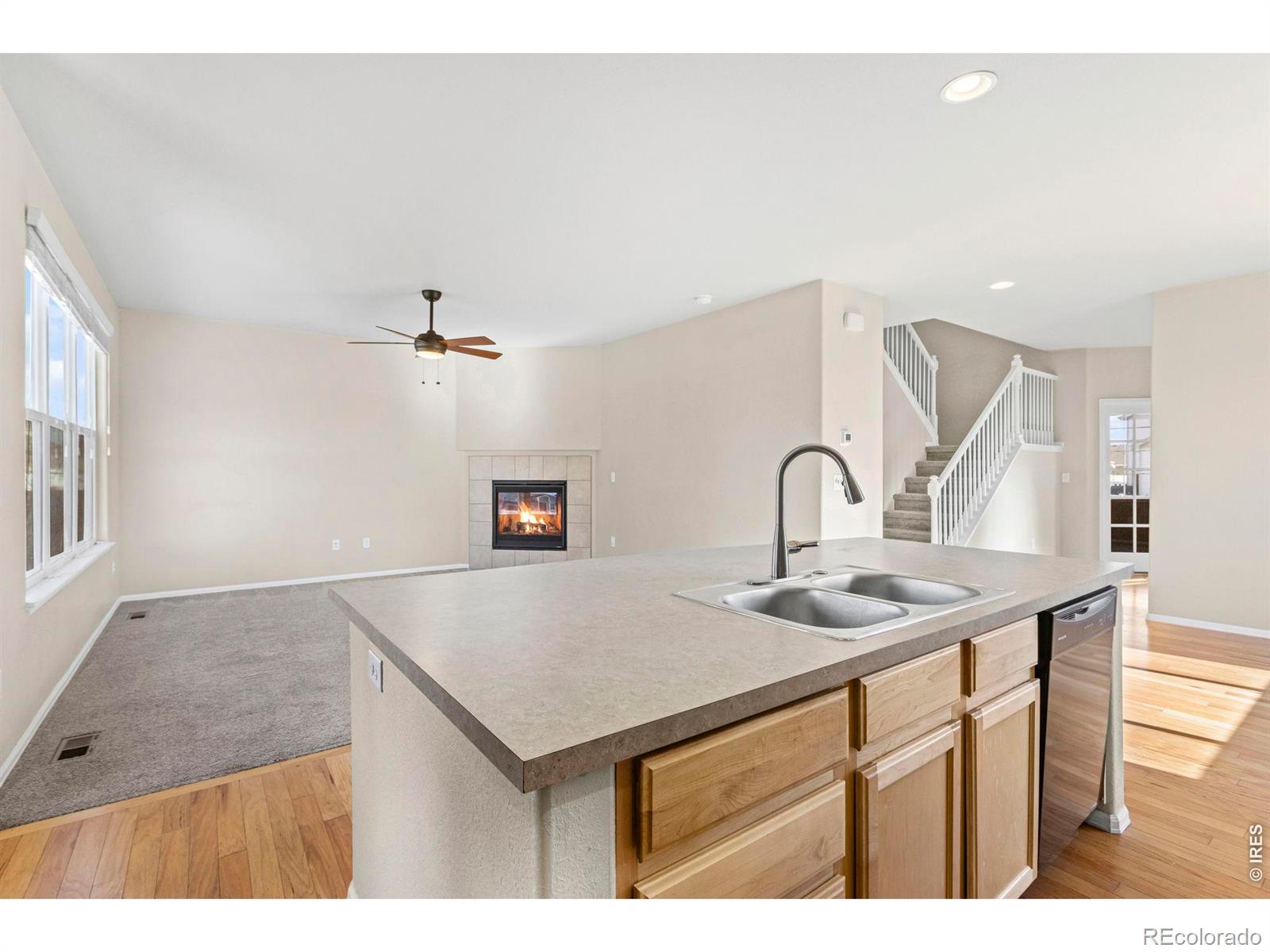 MLS Image #8 for 431  ptarmigan street,severance, Colorado