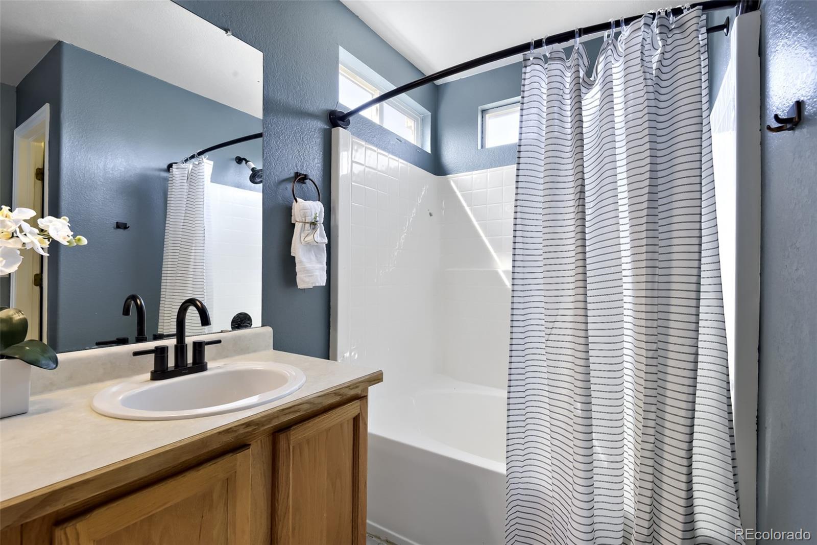 MLS Image #12 for 4889  thorndike avenue,castle rock, Colorado