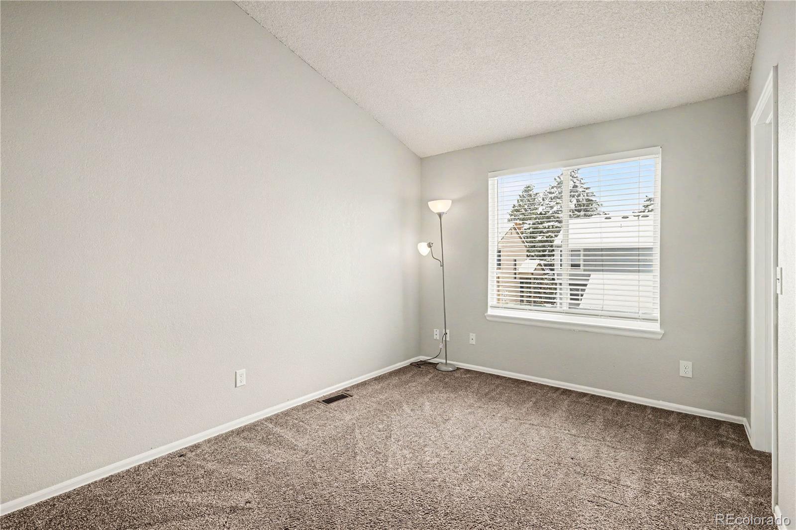 MLS Image #13 for 828  summer drive,highlands ranch, Colorado