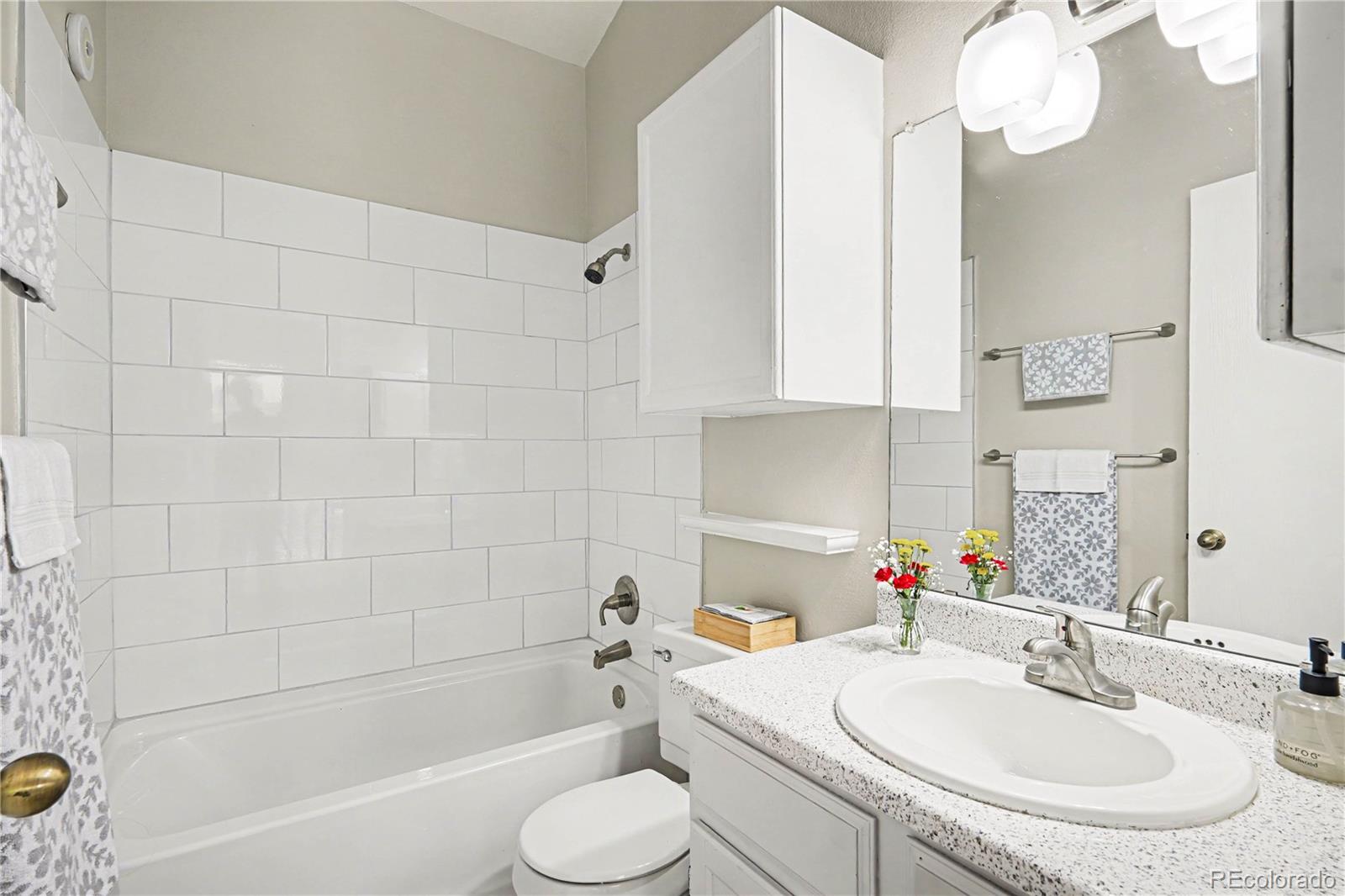 MLS Image #15 for 828  summer drive,highlands ranch, Colorado