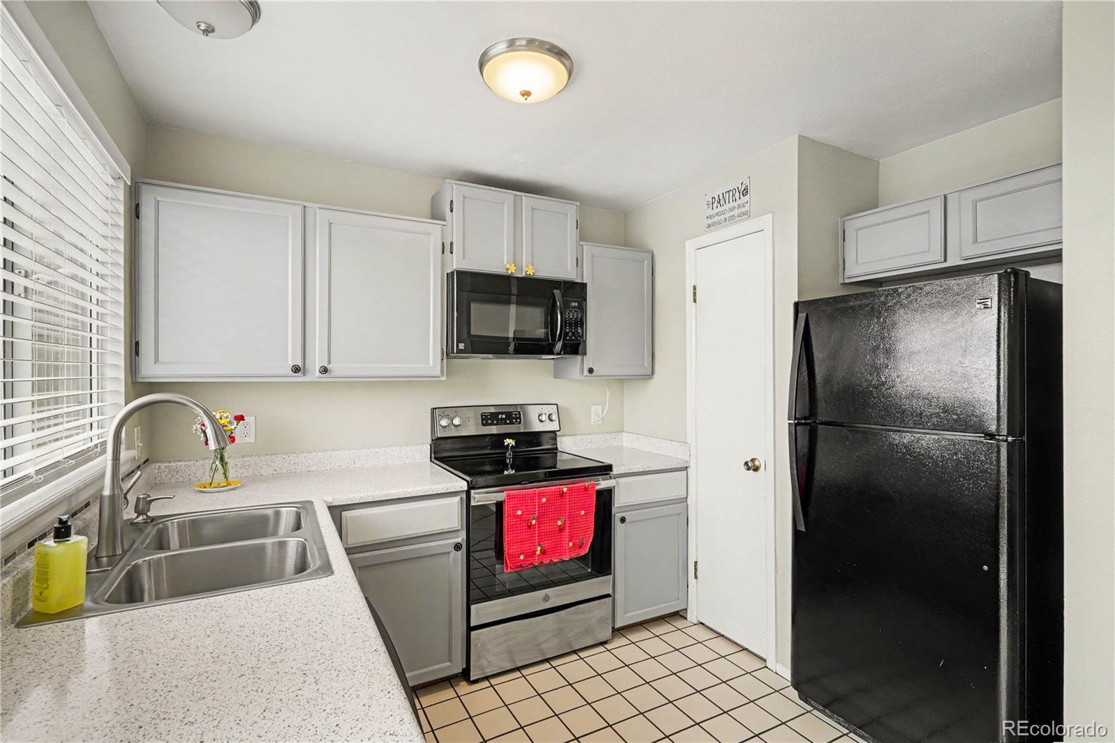 MLS Image #9 for 828  summer drive,highlands ranch, Colorado