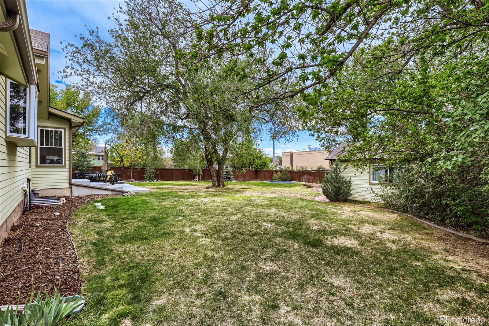 MLS Image #33 for 625  moffat street,erie, Colorado