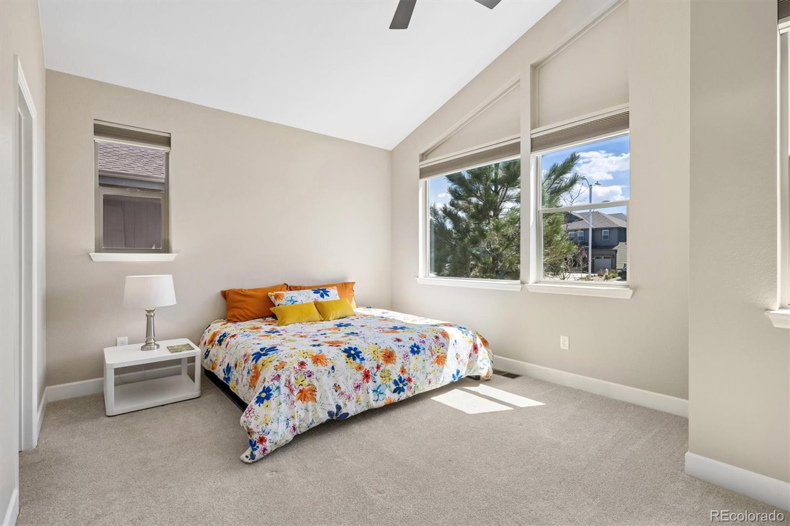MLS Image #14 for 7911  blue river avenue,littleton, Colorado