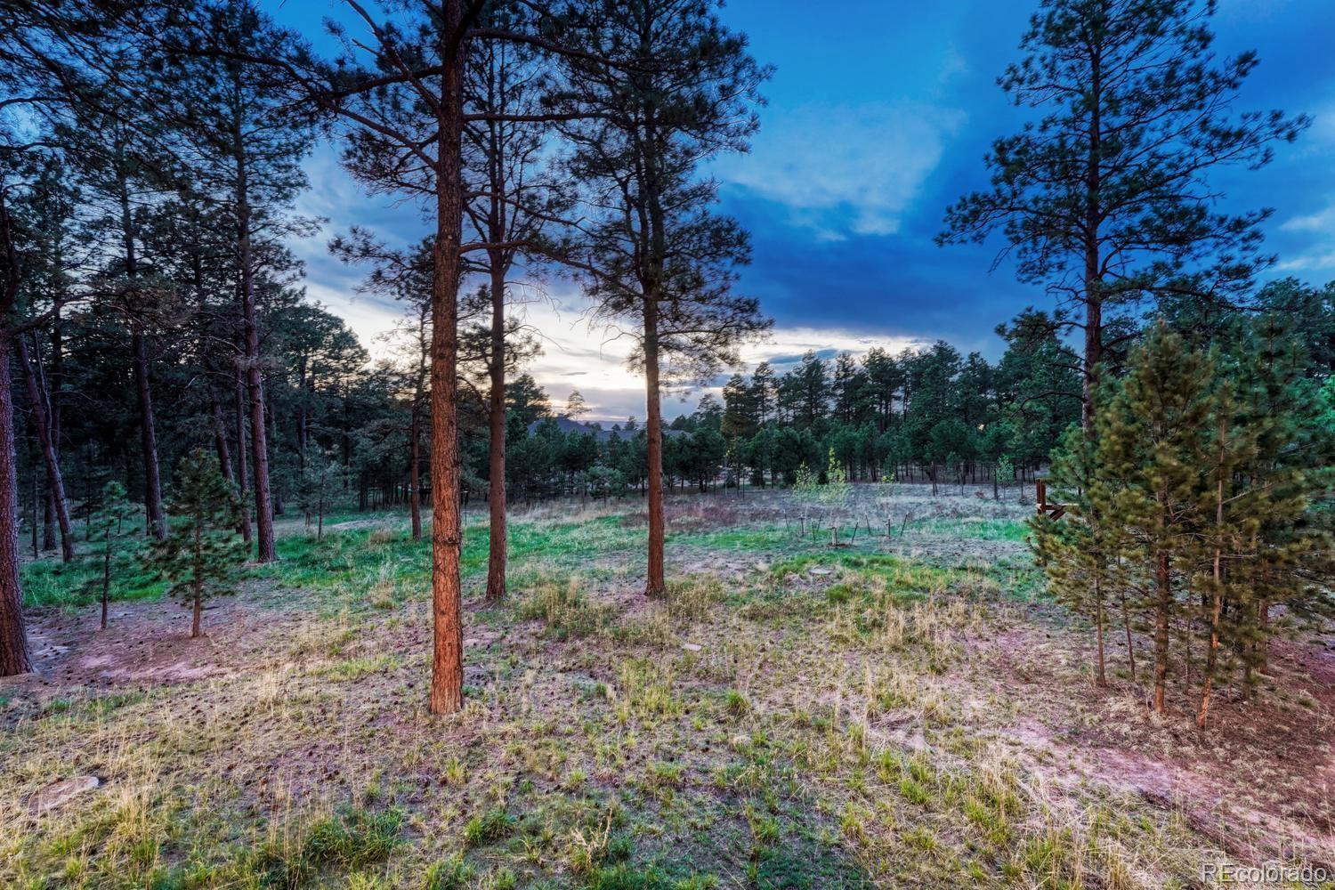 MLS Image #39 for 16152  timber meadow drive,colorado springs, Colorado