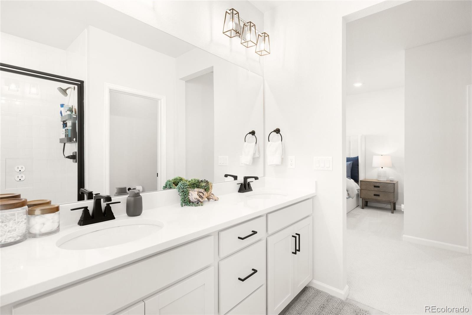 MLS Image #22 for 7910  sterling ranch avenue ,littleton, Colorado
