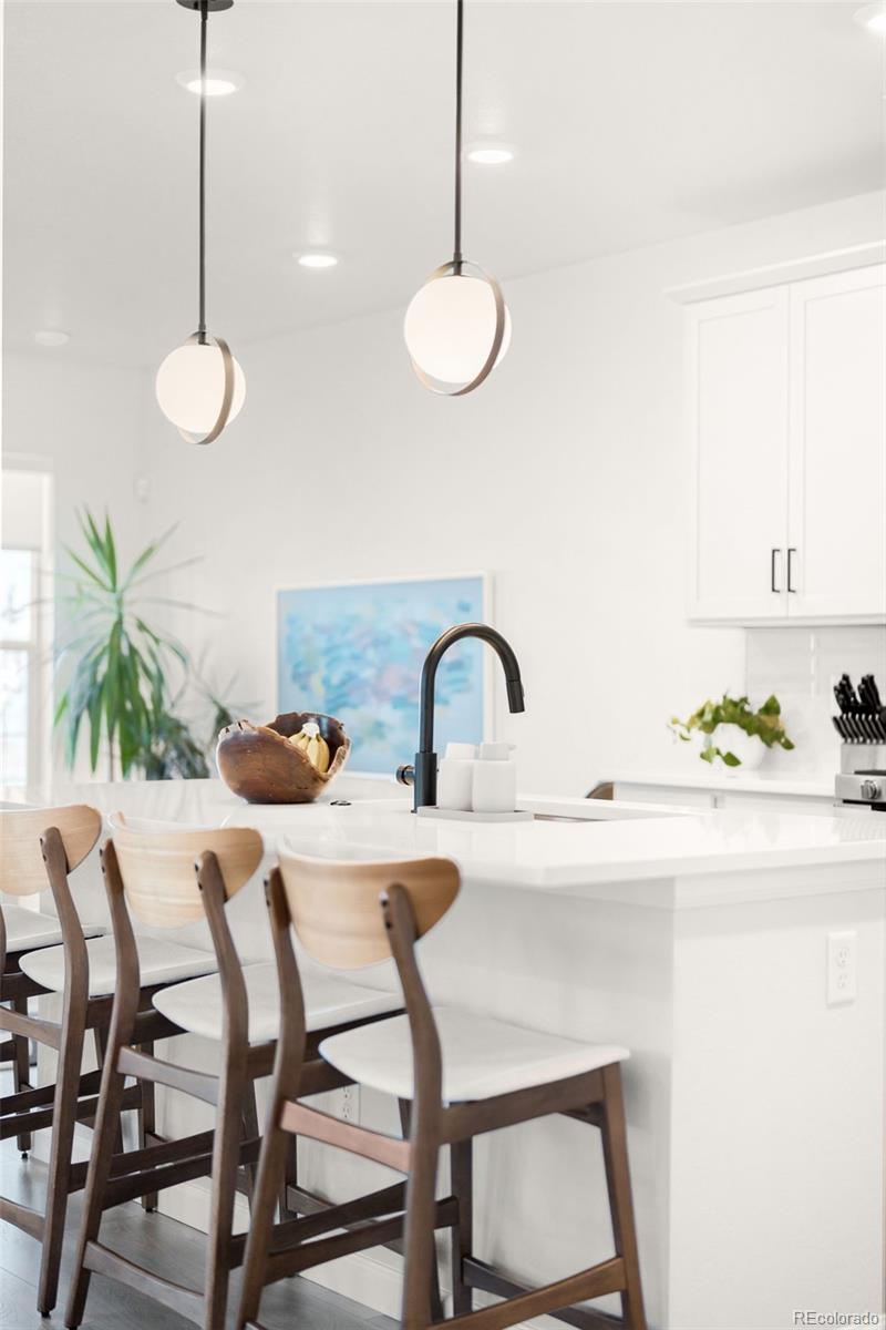 MLS Image #9 for 7910  sterling ranch avenue ,littleton, Colorado