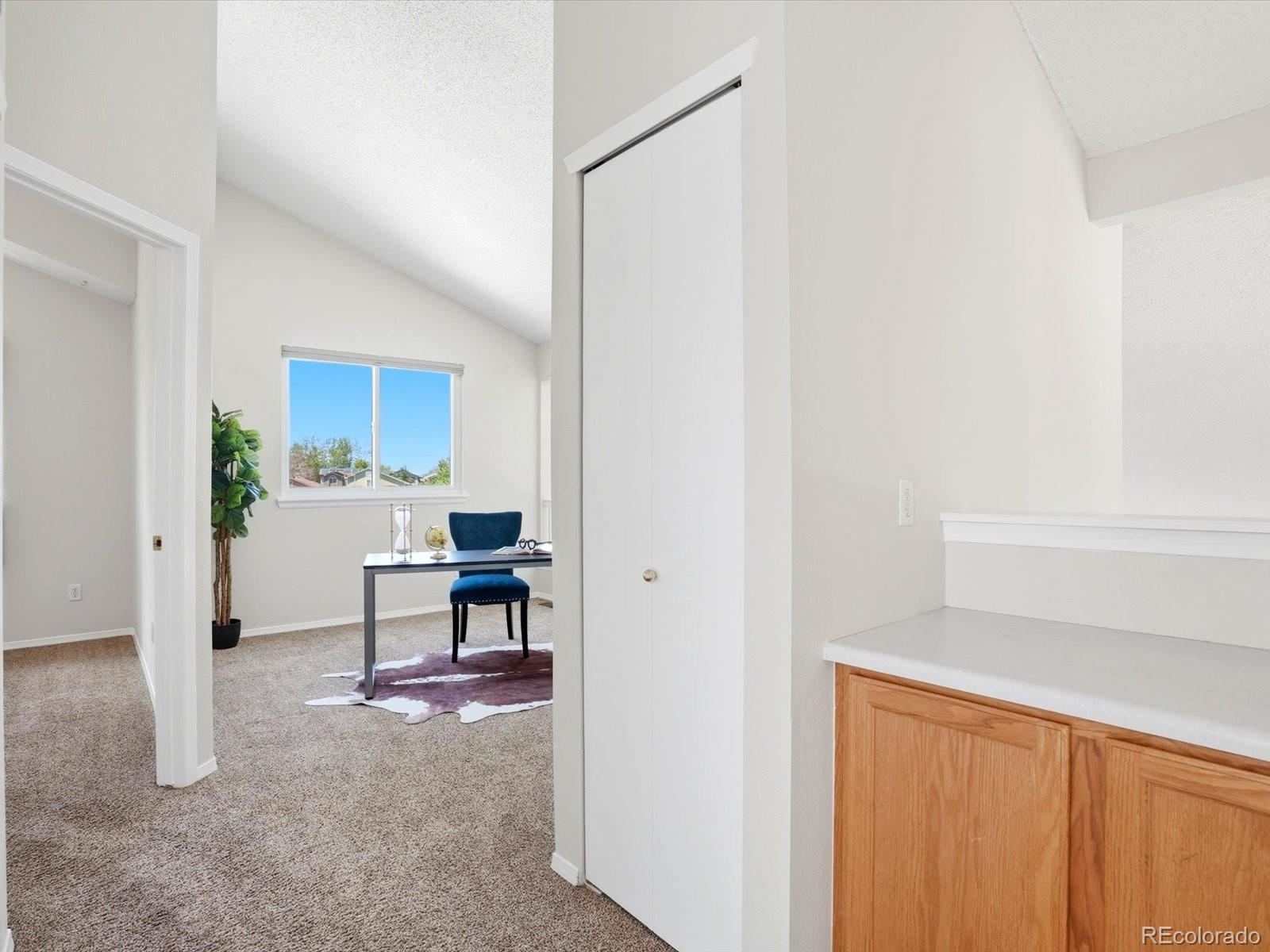 MLS Image #16 for 10237  song sparrow lane,highlands ranch, Colorado