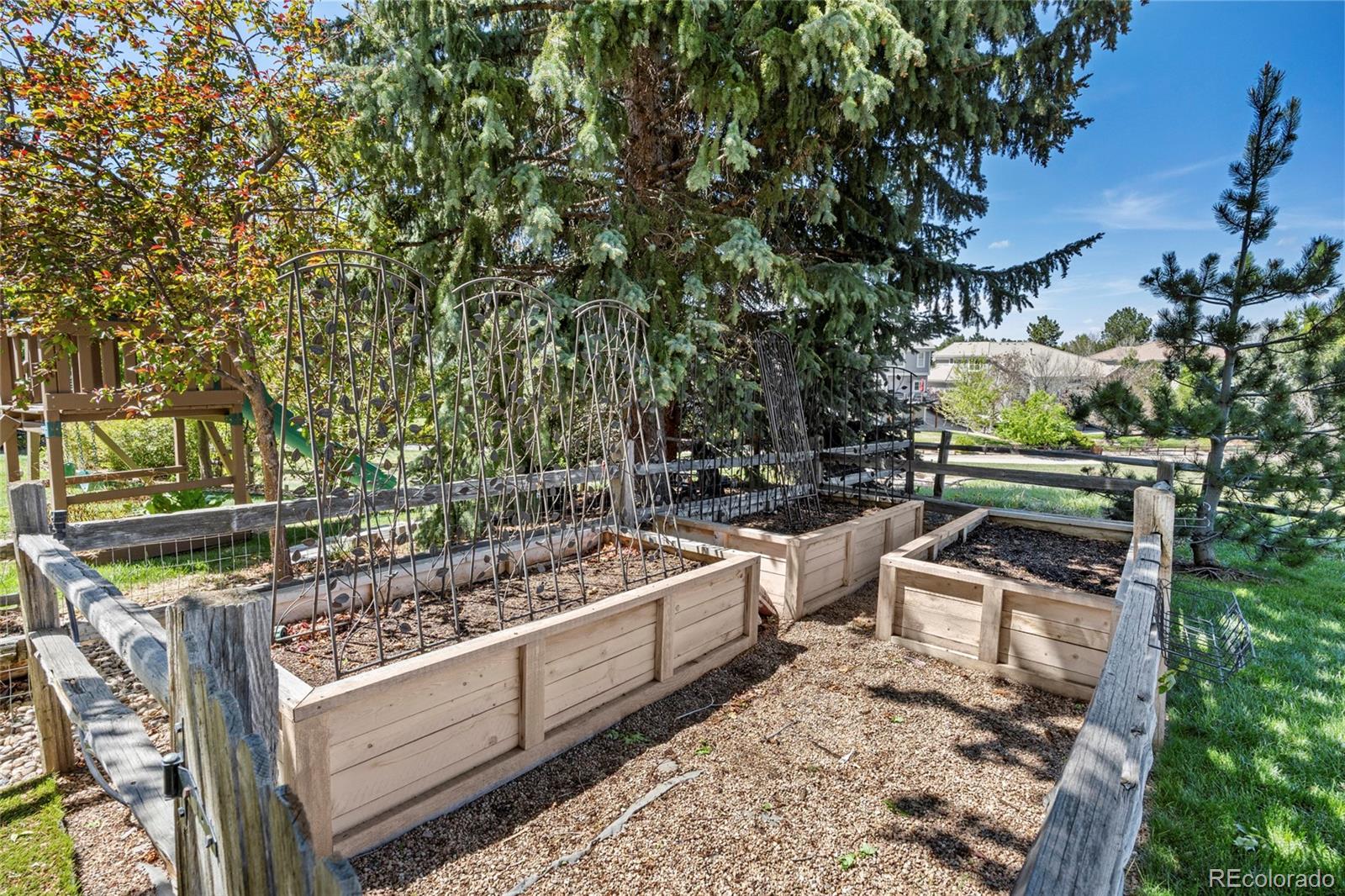 MLS Image #36 for 9711  tall grass circle,lone tree, Colorado