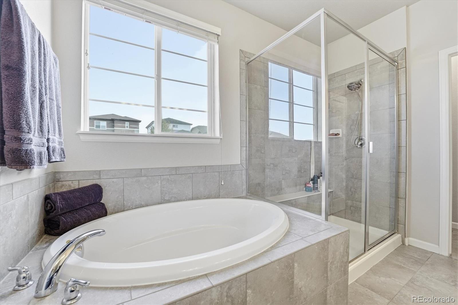 MLS Image #18 for 3308  riverwood way,castle rock, Colorado