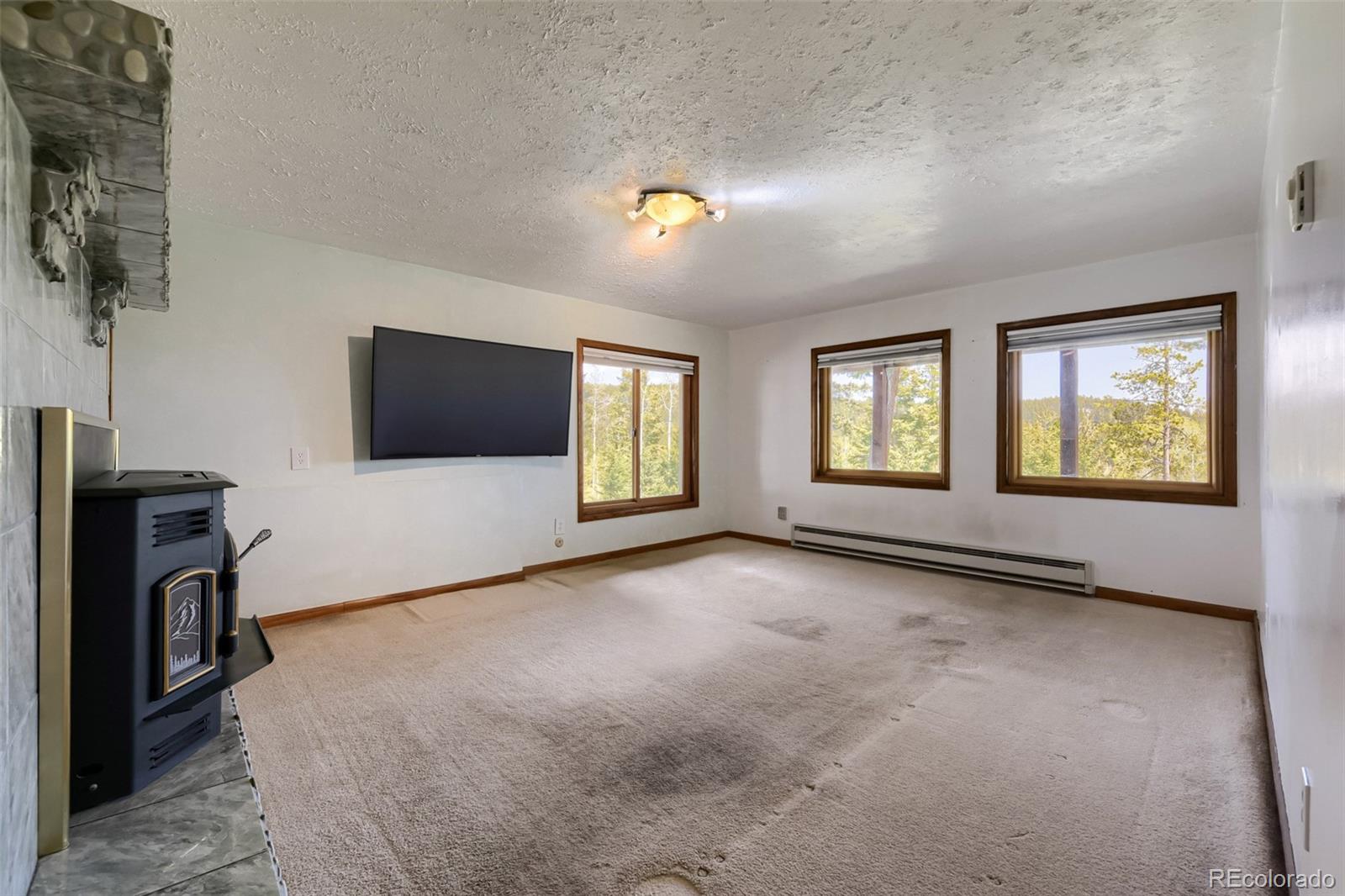 MLS Image #16 for 19653  silver ranch road,conifer, Colorado