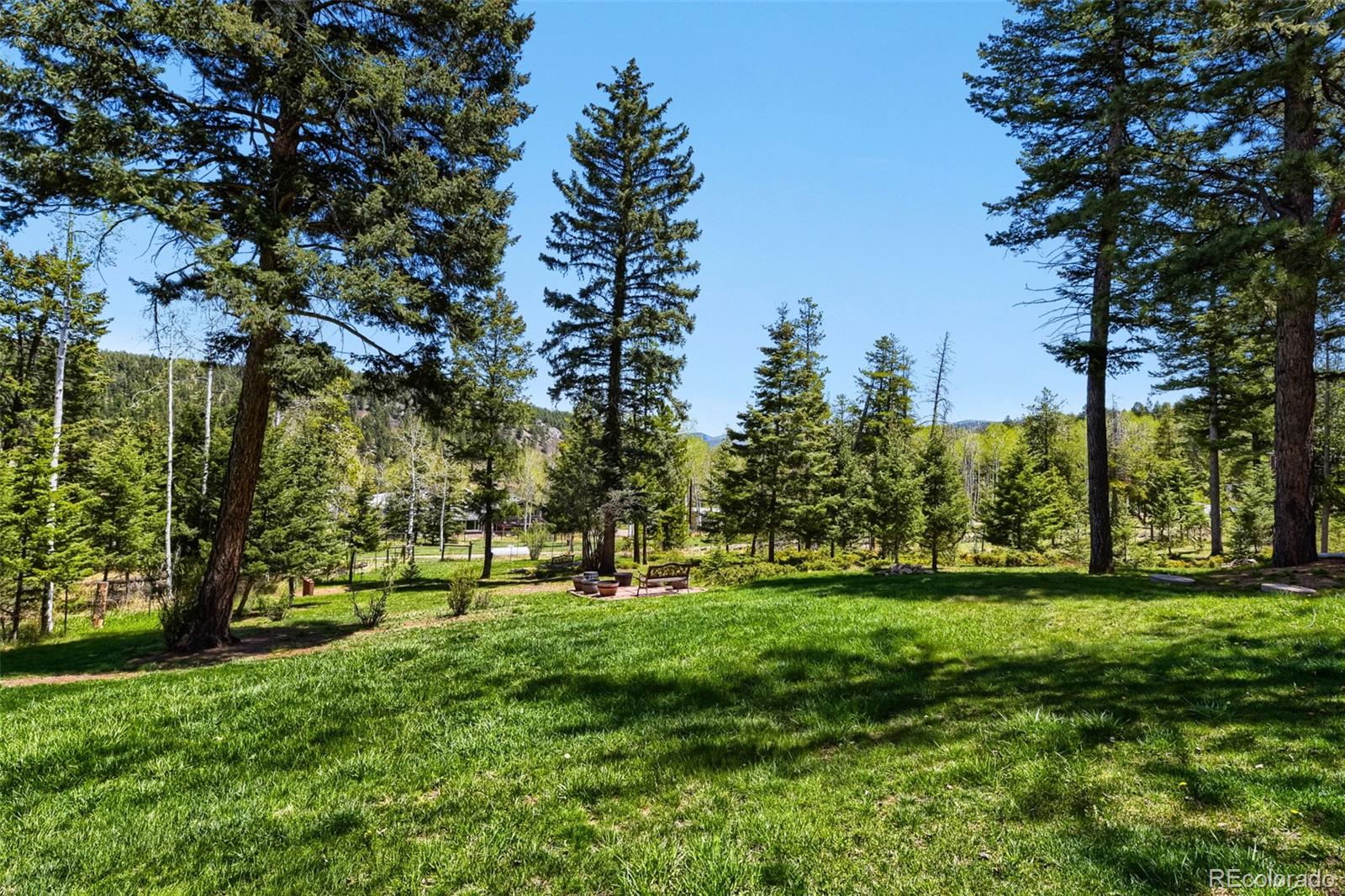 MLS Image #25 for 19653  silver ranch road,conifer, Colorado