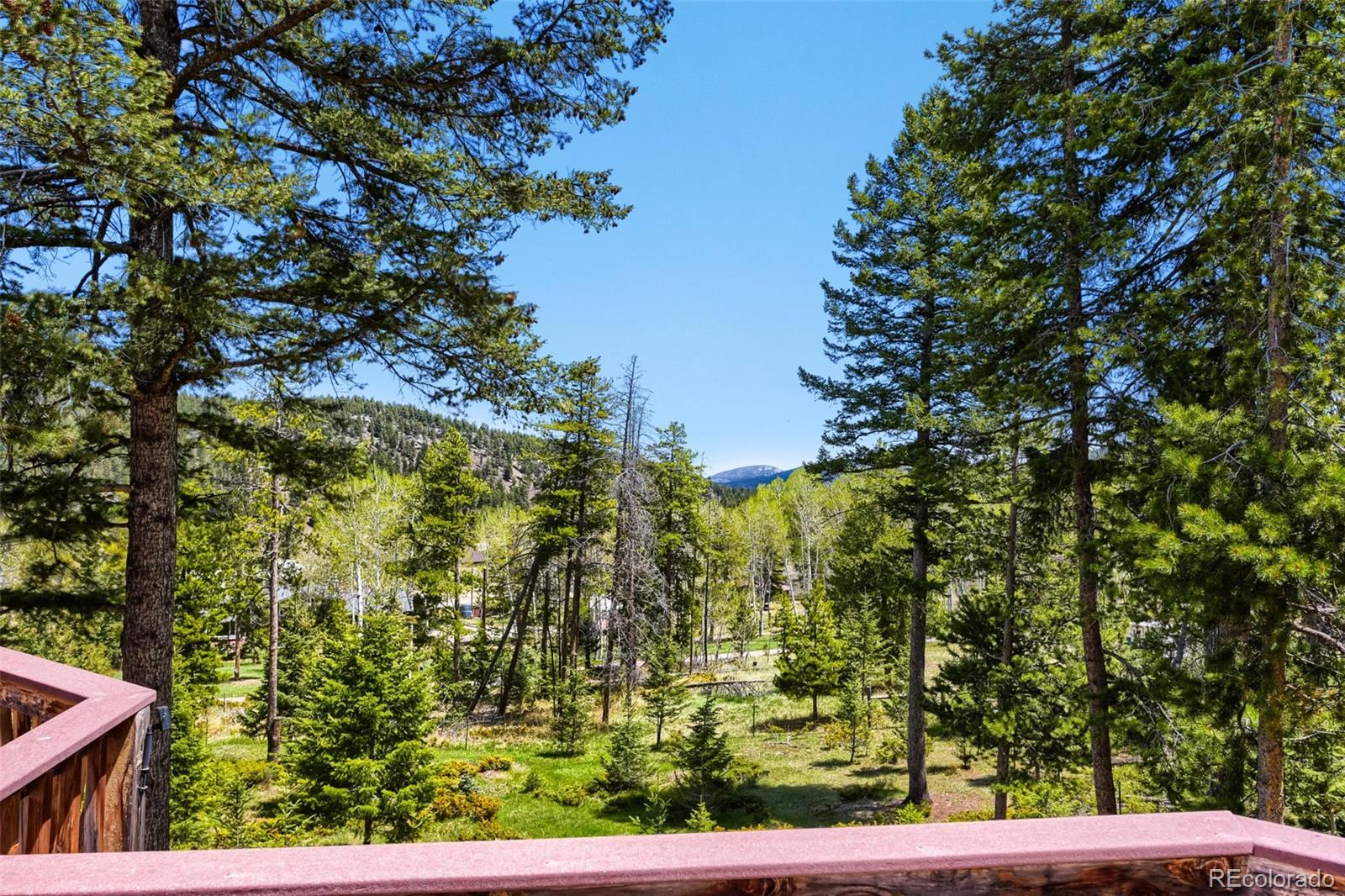 MLS Image #27 for 19653  silver ranch road,conifer, Colorado