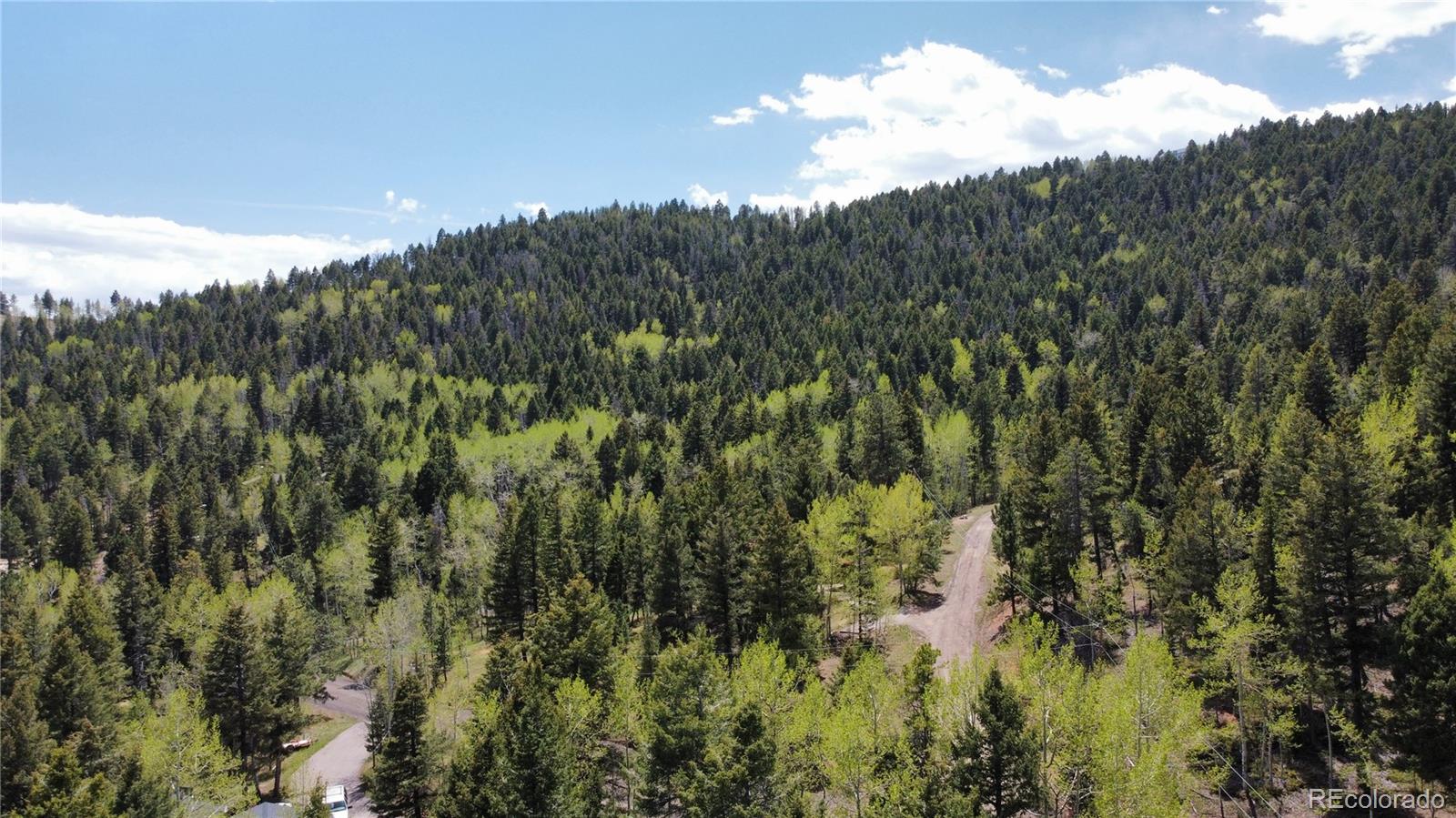 MLS Image #32 for 19653  silver ranch road,conifer, Colorado