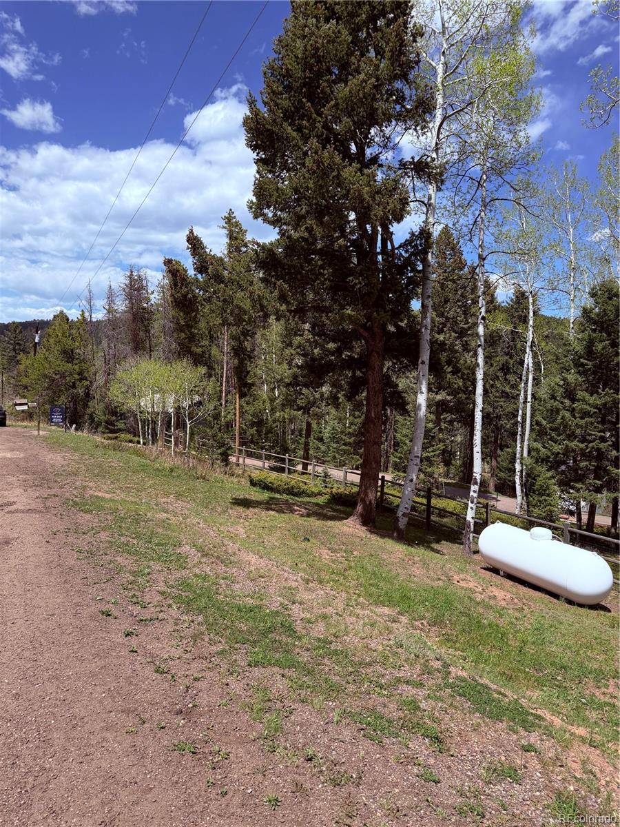 MLS Image #38 for 19653  silver ranch road,conifer, Colorado
