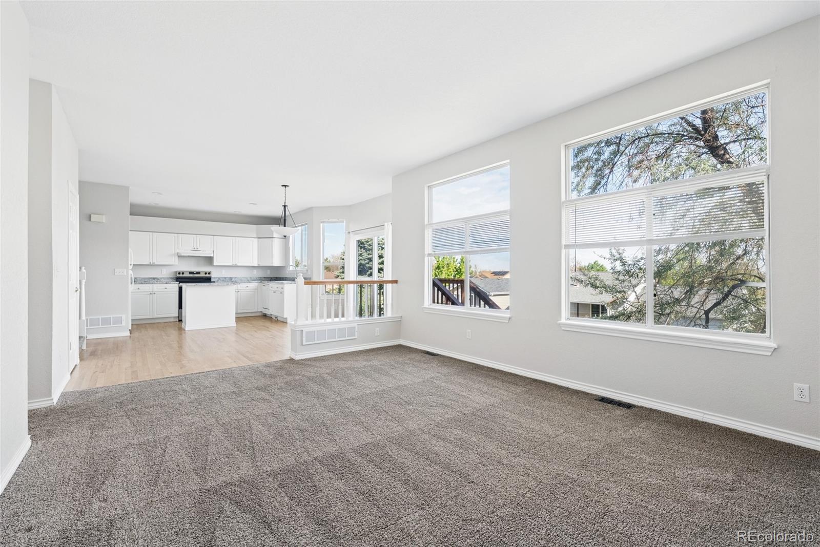 MLS Image #14 for 1577 s pitkin circle,aurora, Colorado