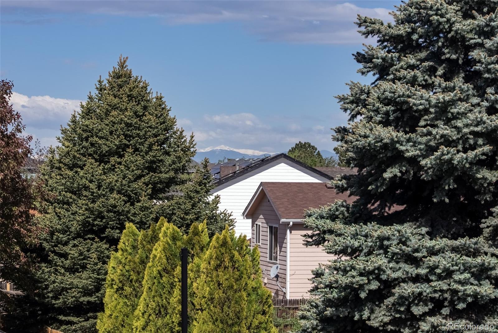MLS Image #27 for 1577 s pitkin circle,aurora, Colorado