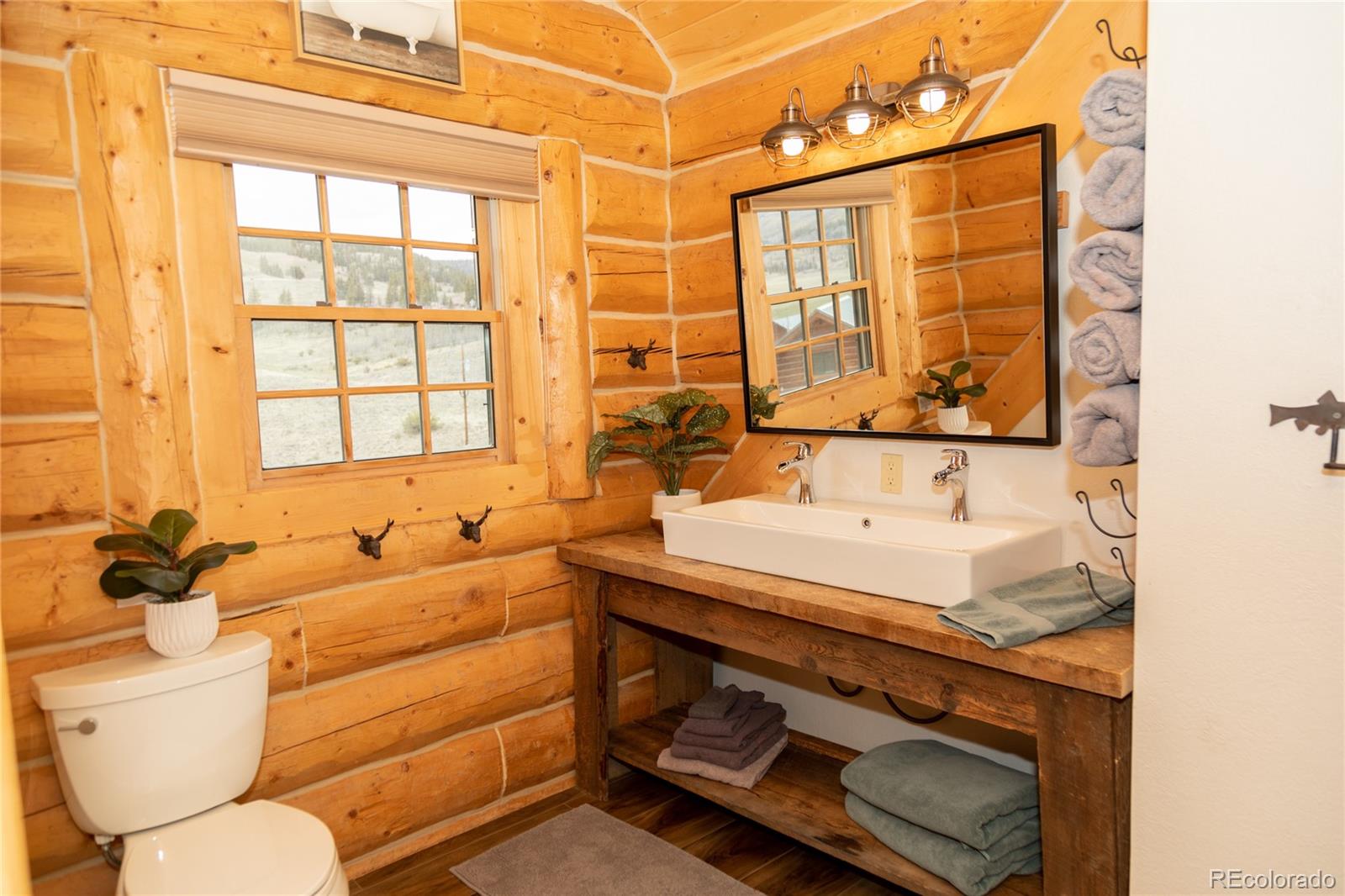 MLS Image #10 for 115  dabney court,creede, Colorado