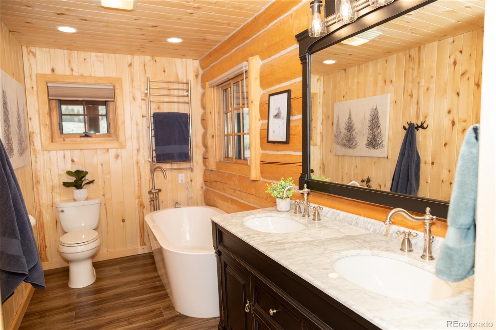 MLS Image #18 for 115  dabney court,creede, Colorado