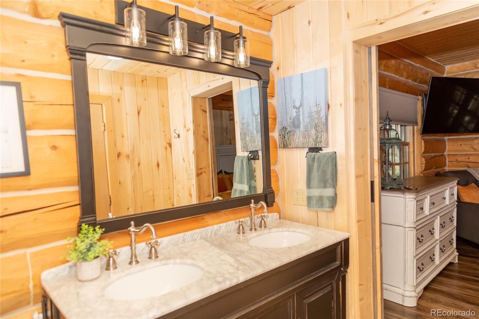 MLS Image #19 for 115  dabney court,creede, Colorado
