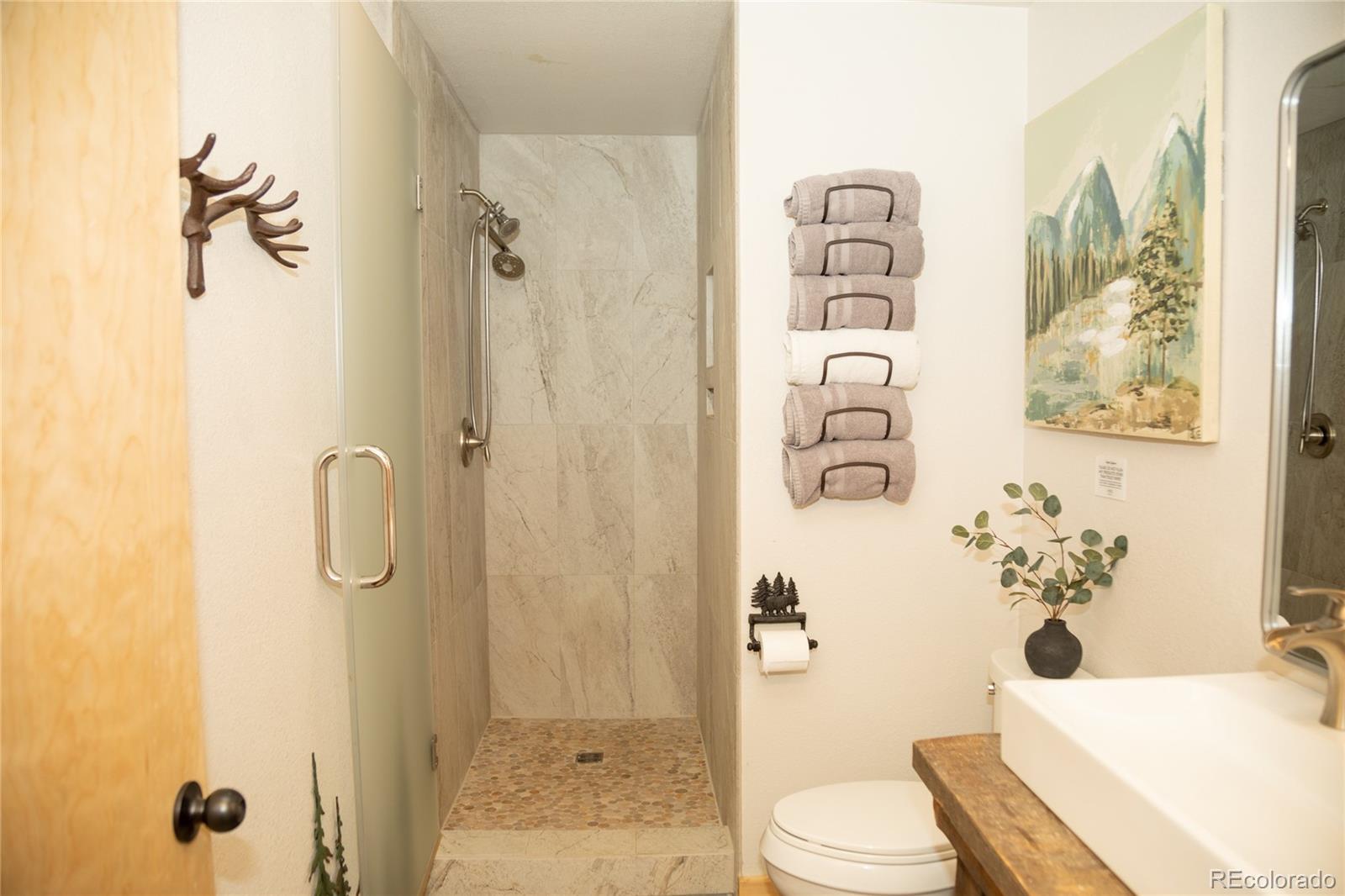 MLS Image #23 for 115  dabney court,creede, Colorado