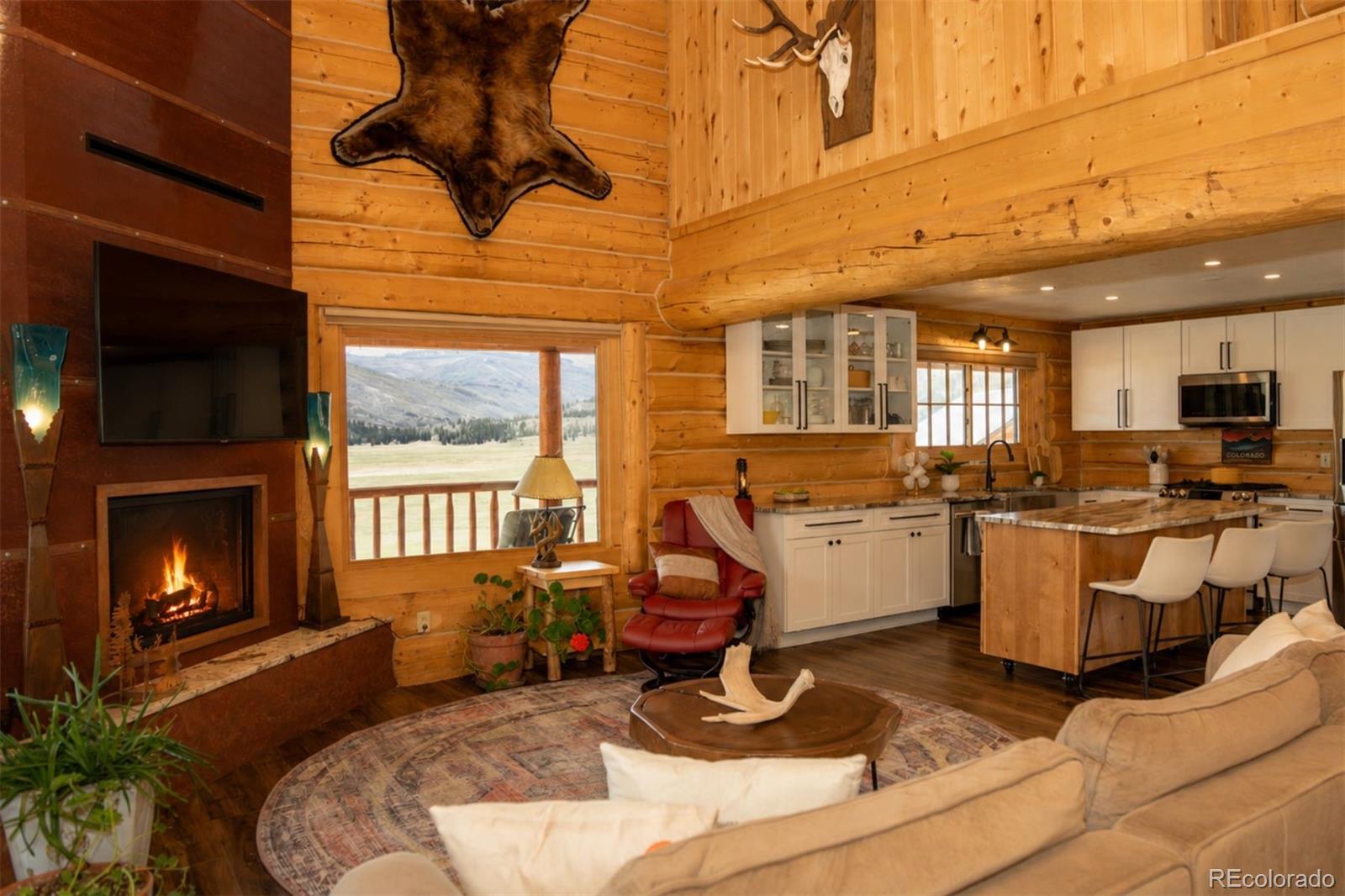 MLS Image #35 for 115  dabney court,creede, Colorado