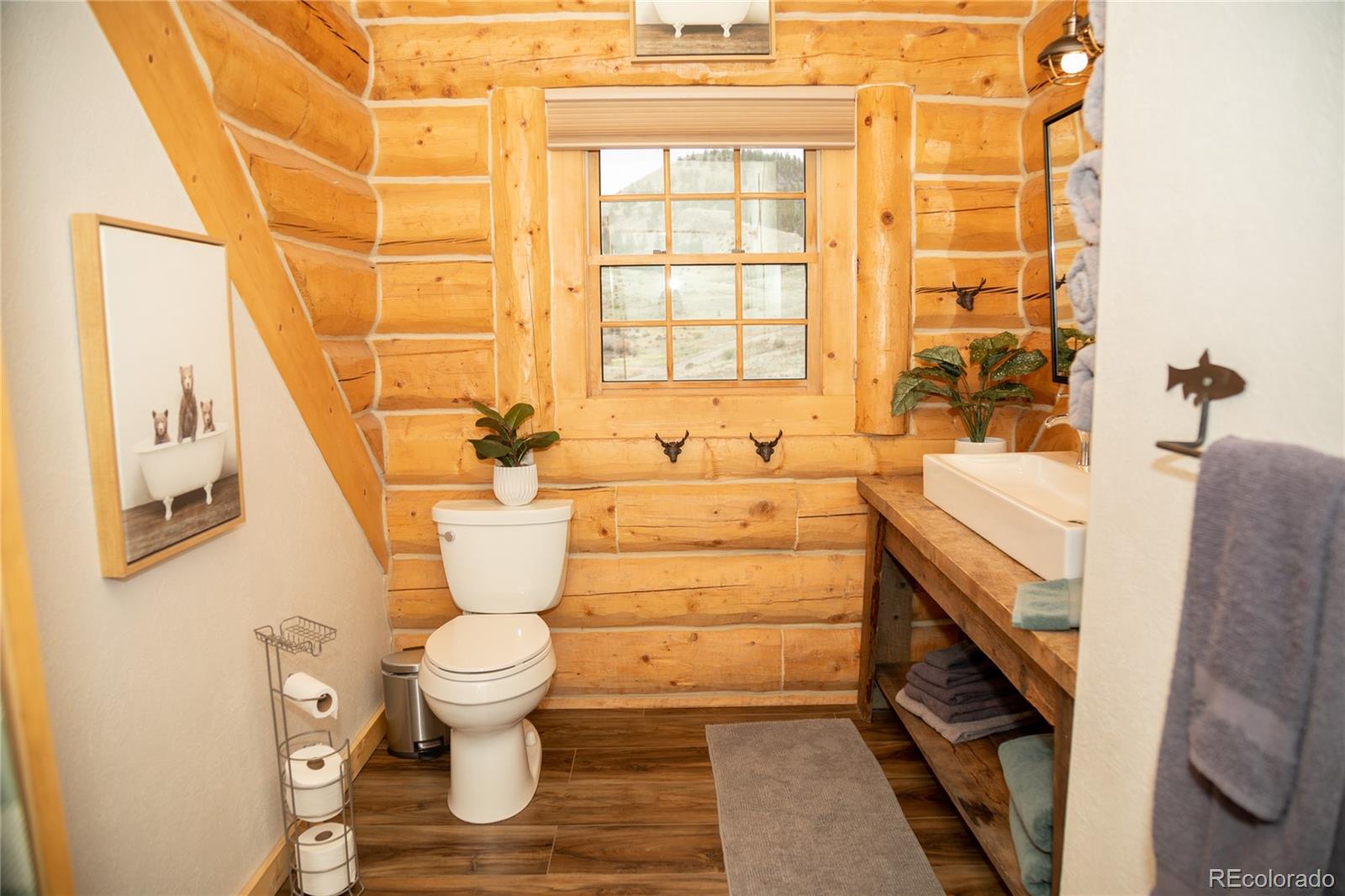 MLS Image #9 for 115  dabney court,creede, Colorado