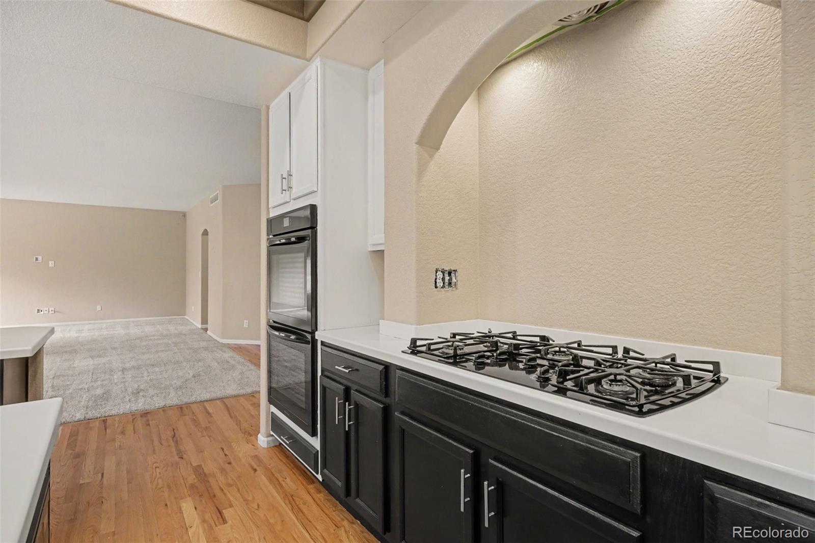 MLS Image #5 for 4566  castle circle,broomfield, Colorado