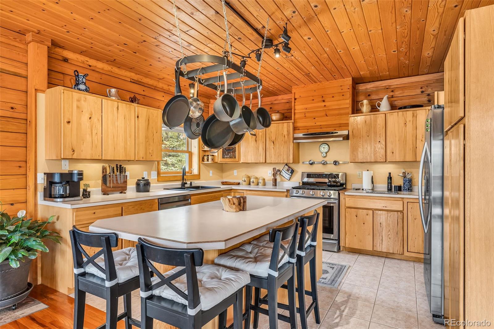 MLS Image #10 for 155  fossil creek road,florissant, Colorado