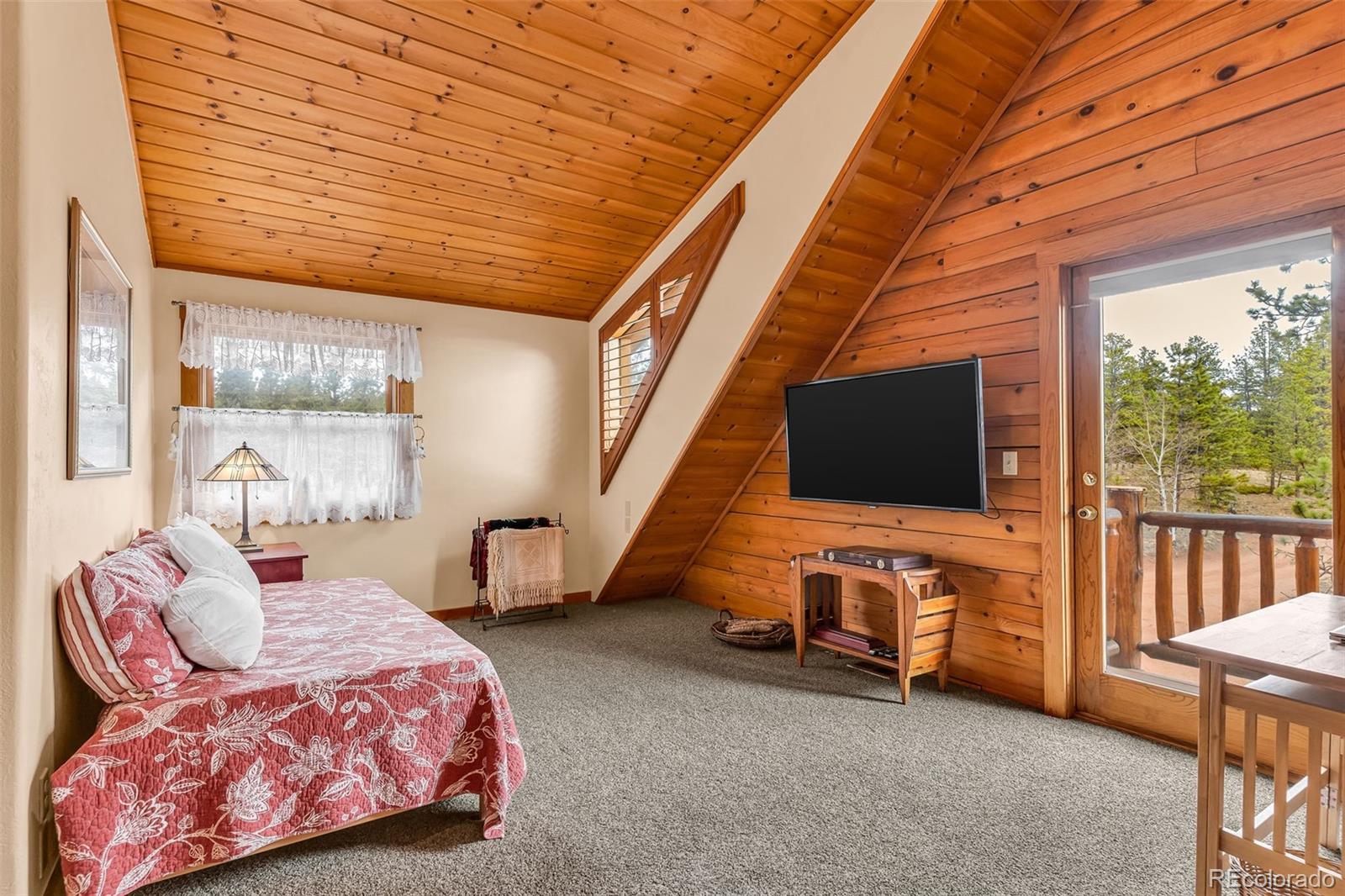 MLS Image #20 for 155  fossil creek road,florissant, Colorado