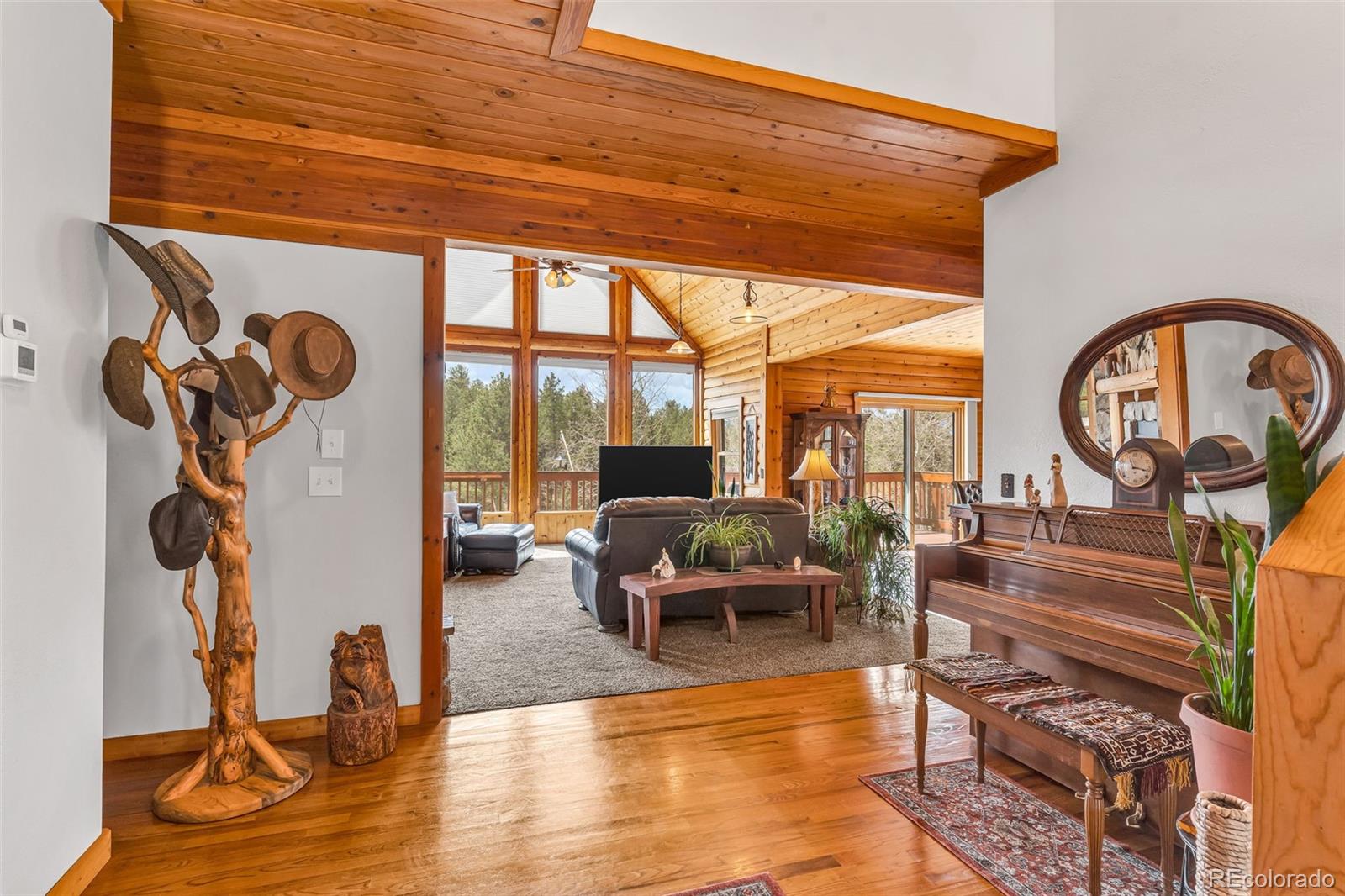 MLS Image #4 for 155  fossil creek road,florissant, Colorado