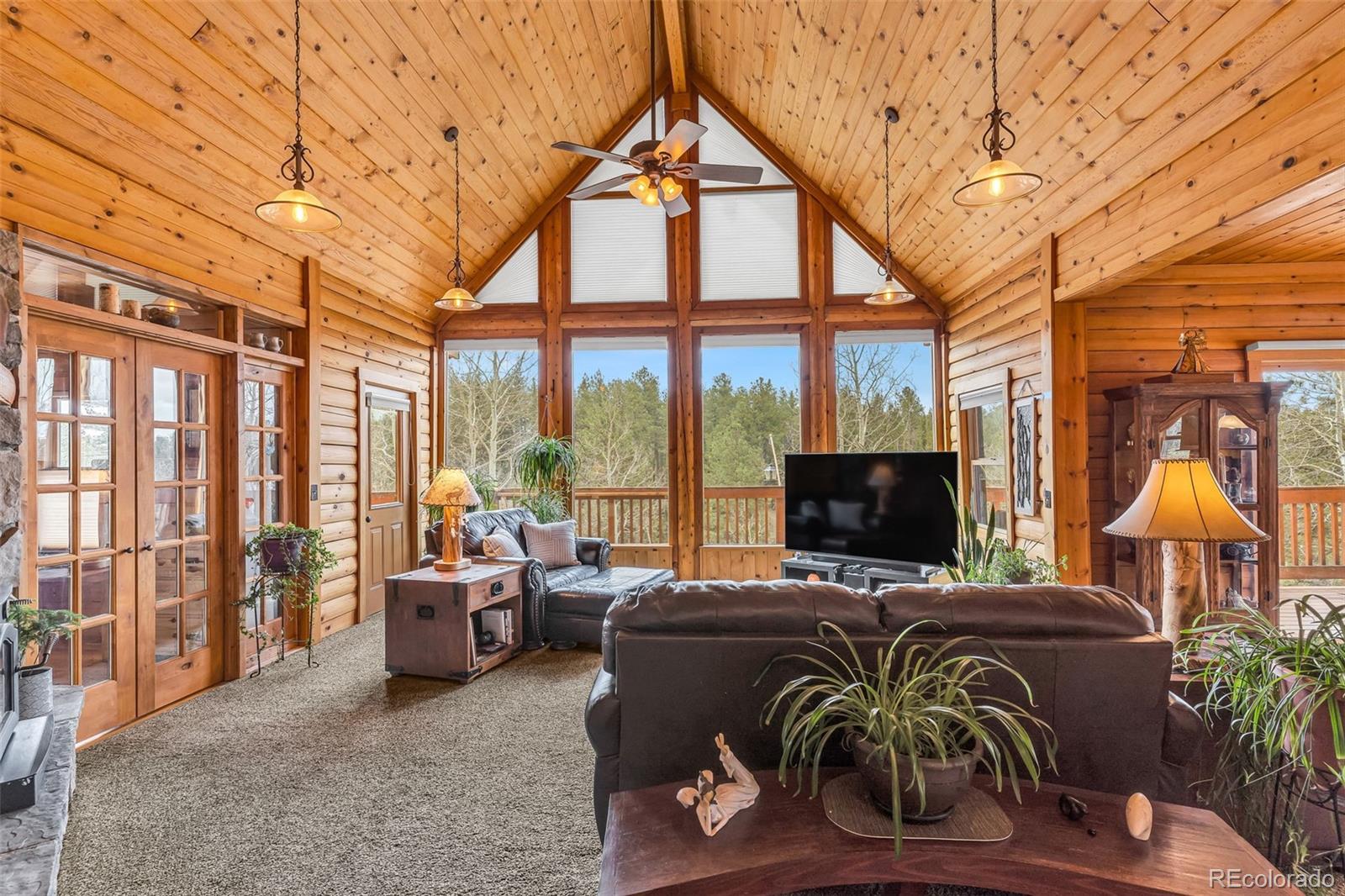 MLS Image #5 for 155  fossil creek road,florissant, Colorado