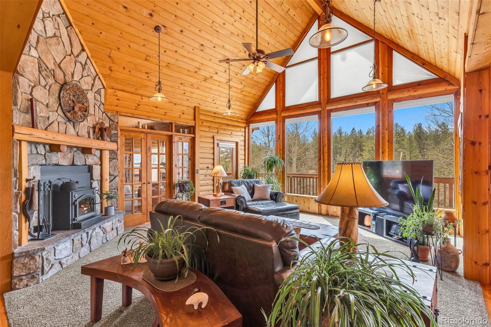 MLS Image #6 for 155  fossil creek road,florissant, Colorado